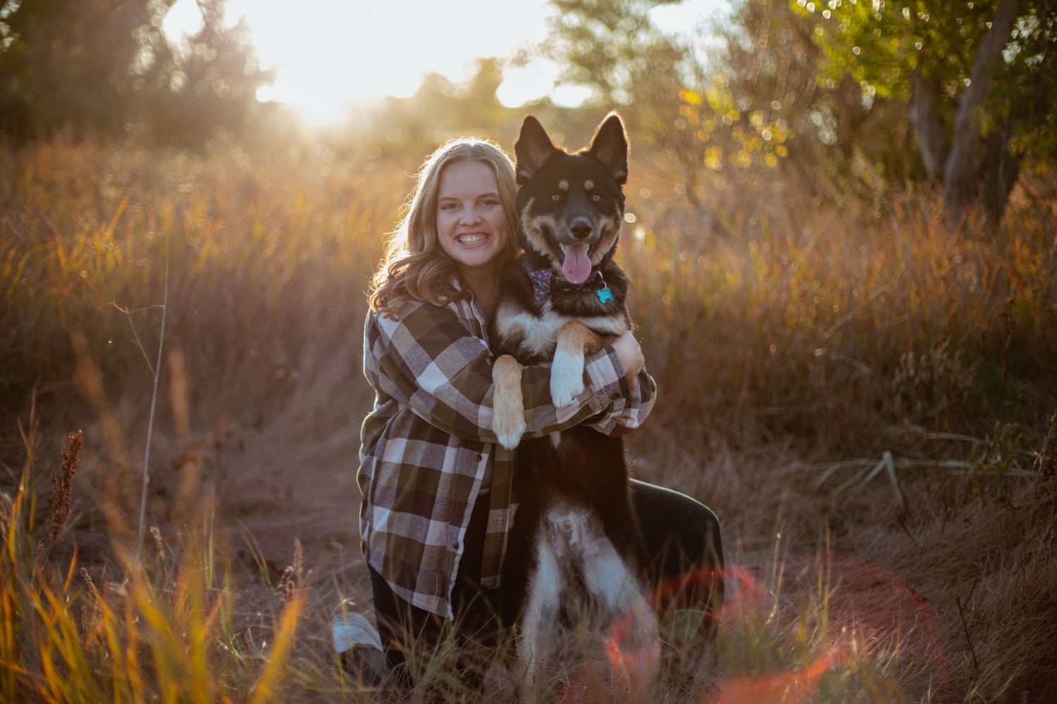 Person in plaid shirt hugging large husky dog during golden hour in field.