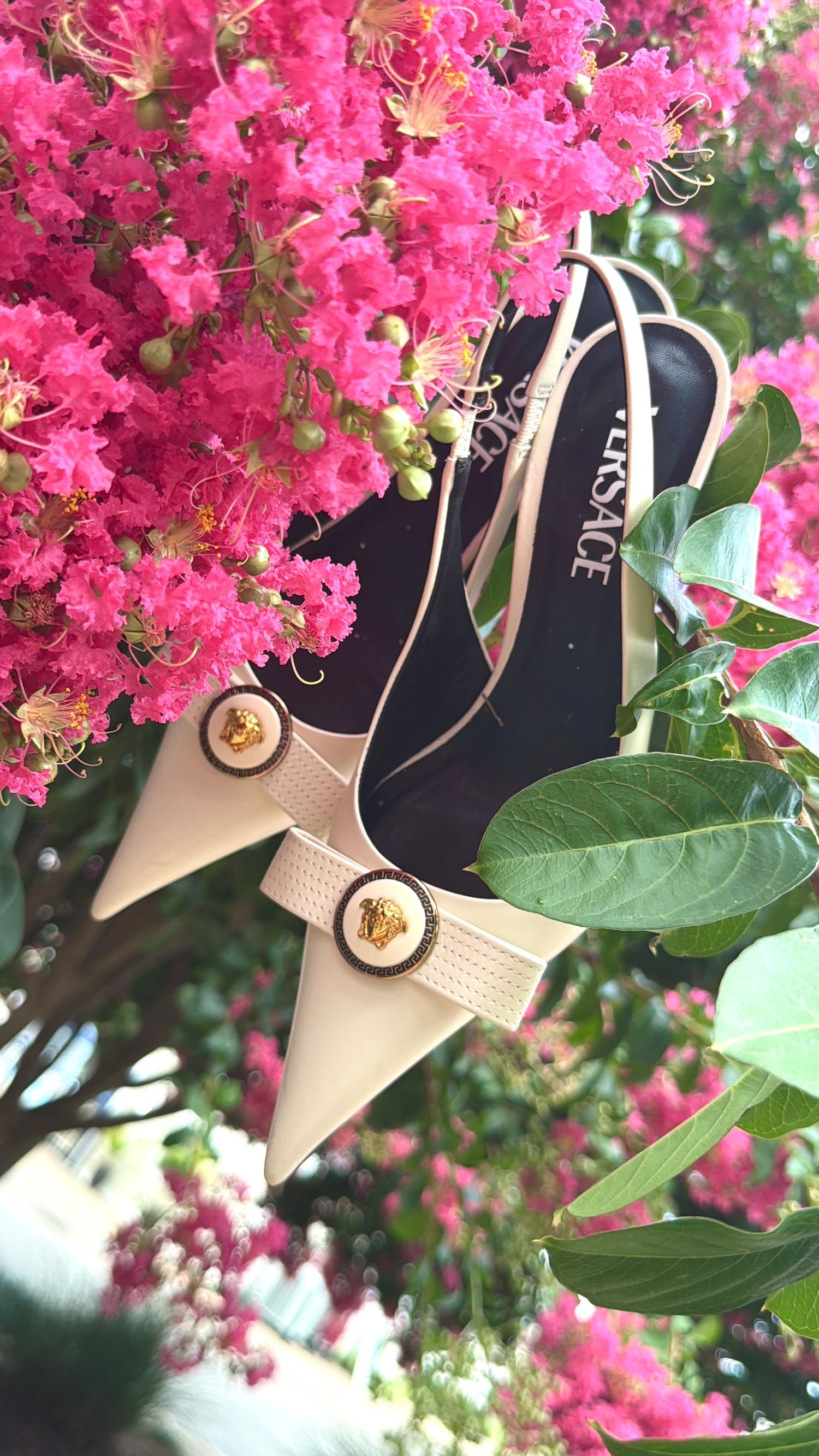 Versace cream leather pointed-toe heels with gold Medusa buckles displayed against vibrant pink blooming flowers.