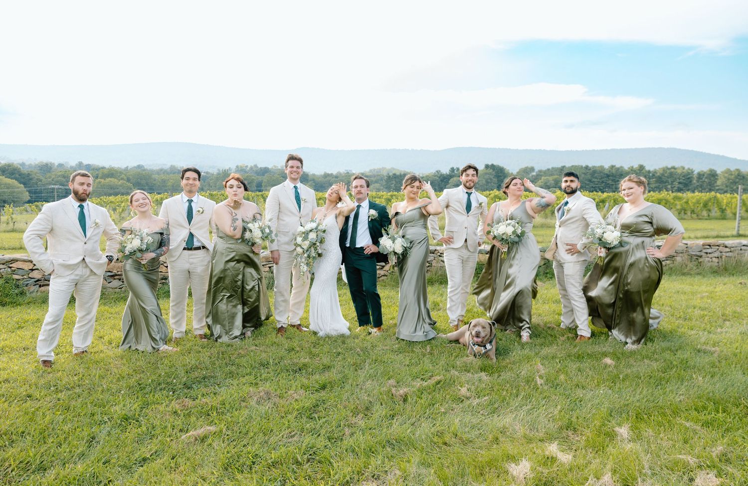 Wedding party poses outdoors on green hillside, bridesmaids in sage gowns, groomsmen in tan suits, couple in center.