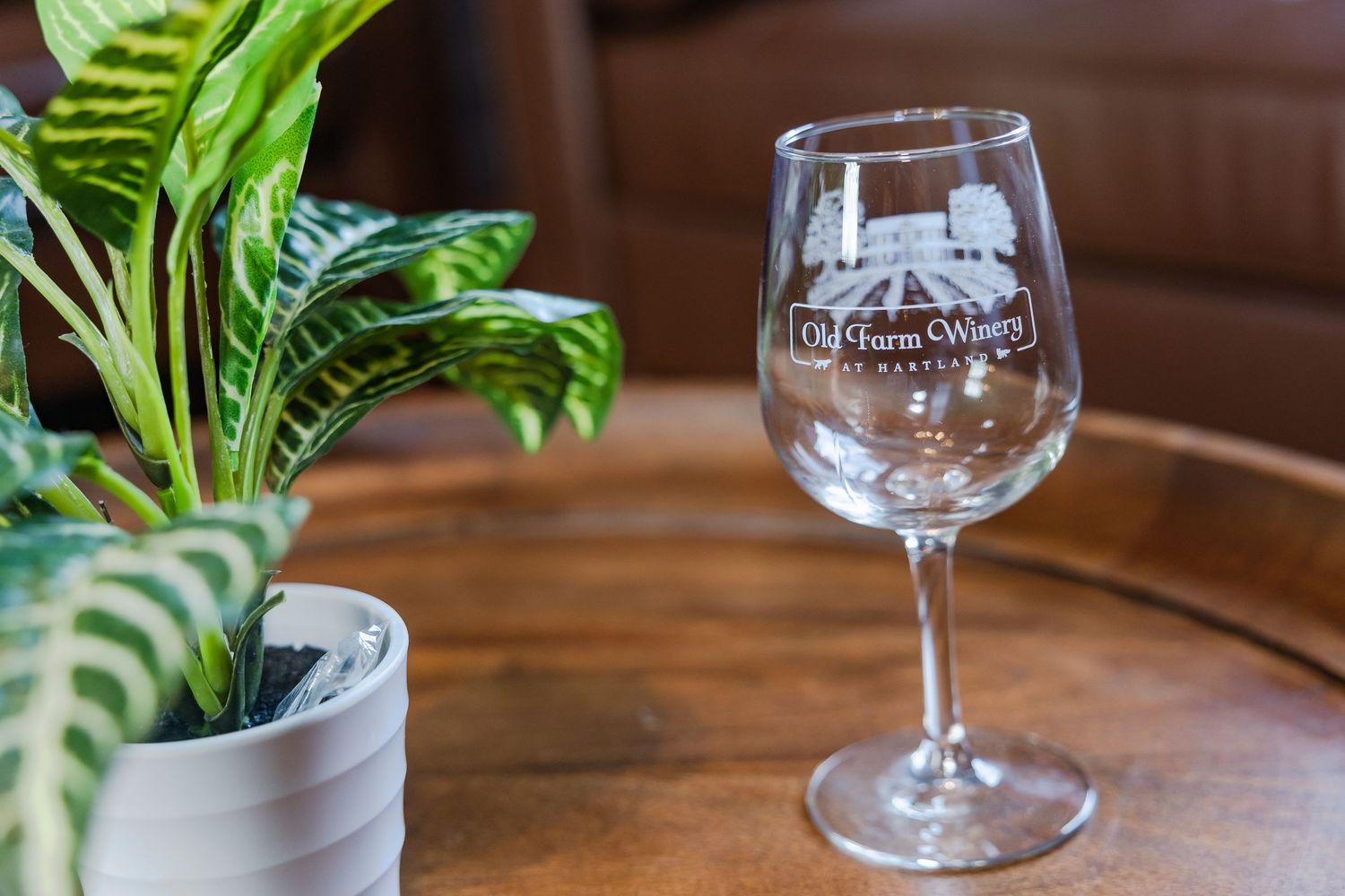 Empty wine glasses sit on a wooden table with green plants in the background.