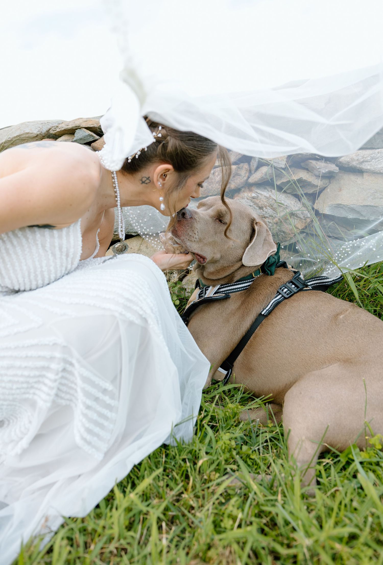 Bride in white wedding dress and veil shares a tender moment with her dog on green grass.