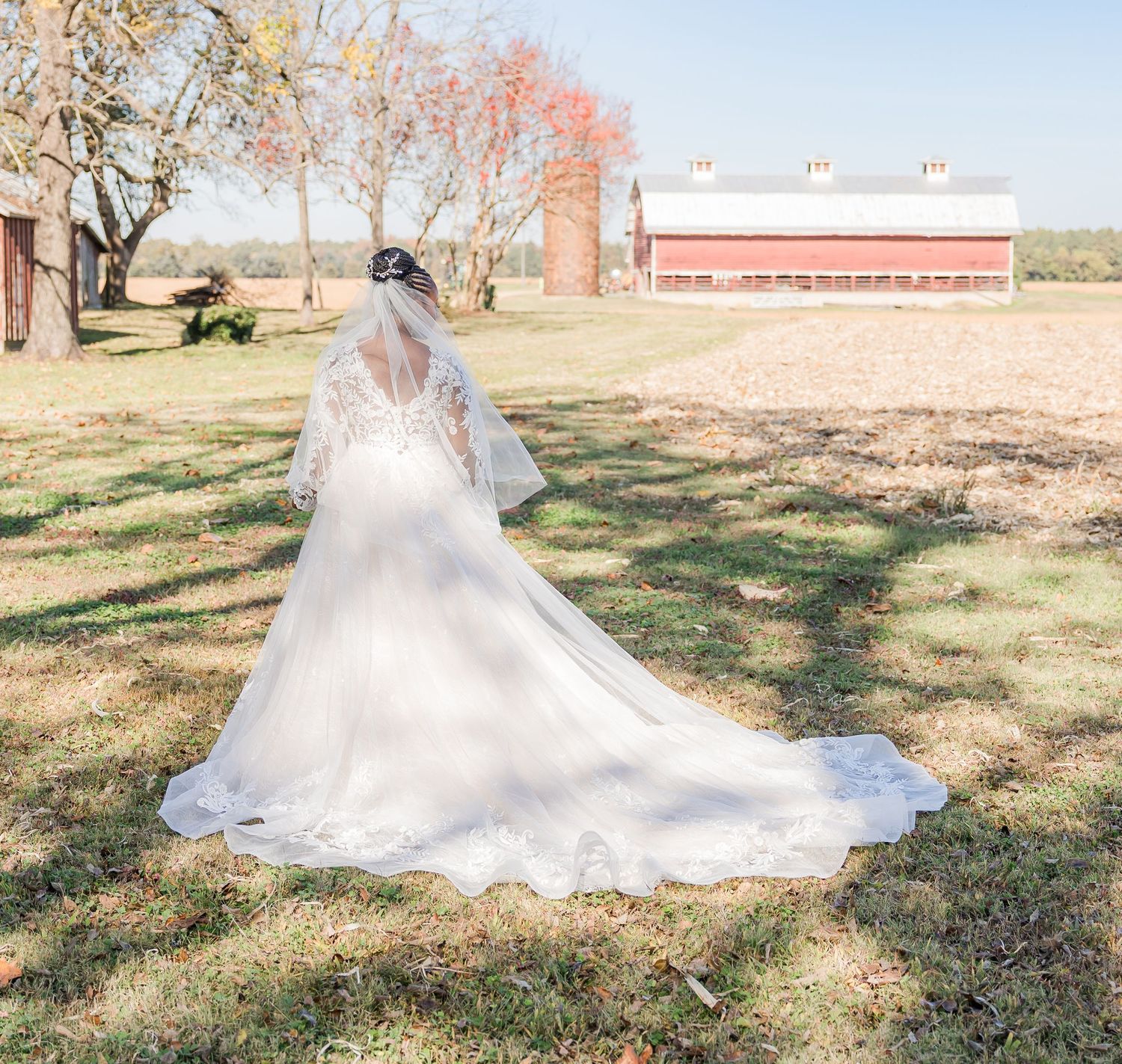 Bride in flowing white gown poses gracefully on grassy lawn with rustic red barn in the background on sunny day.