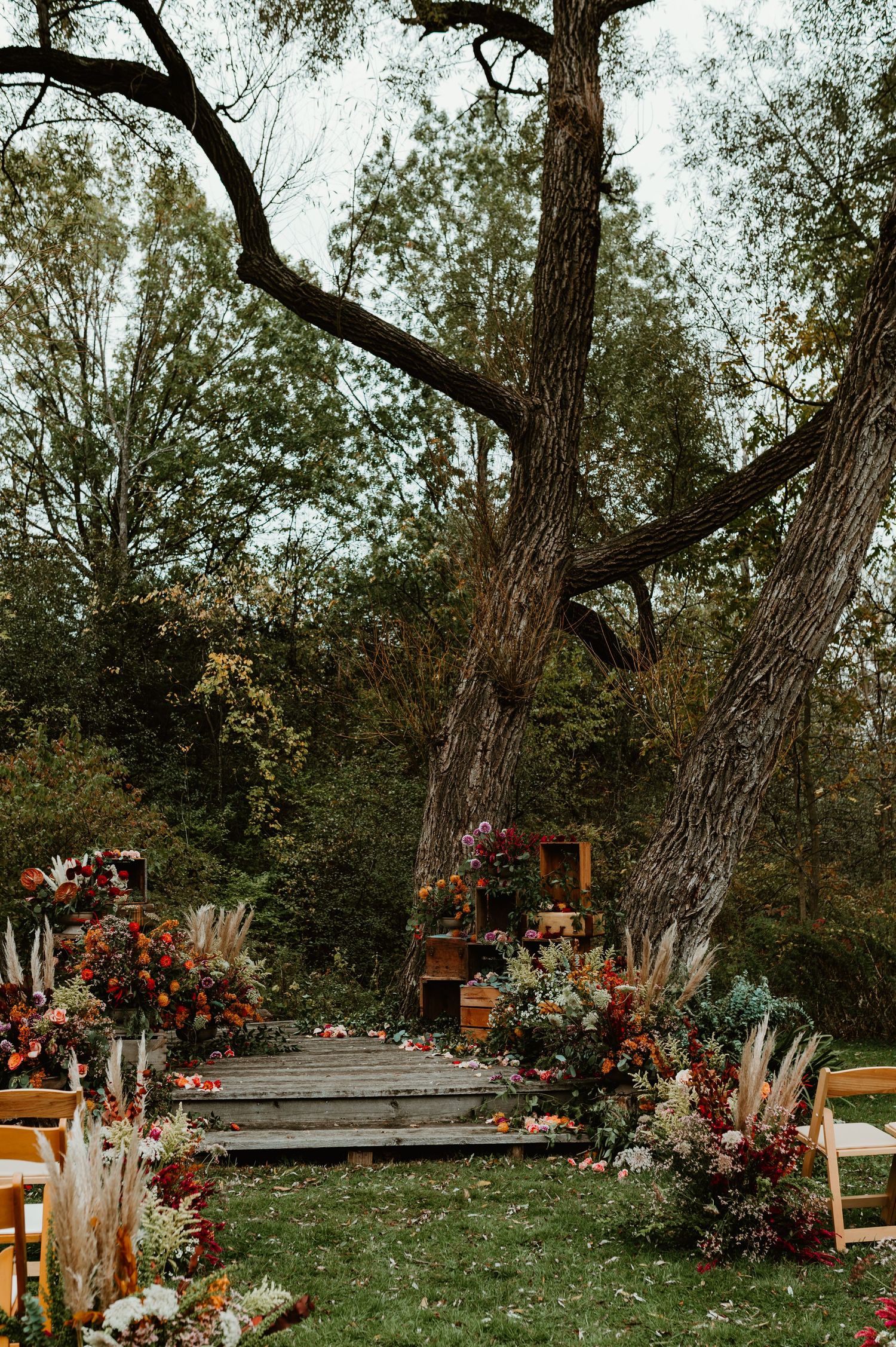Rustic outdoor wedding ceremony aisle decorated with fall flowers and pampas grass beneath large trees.