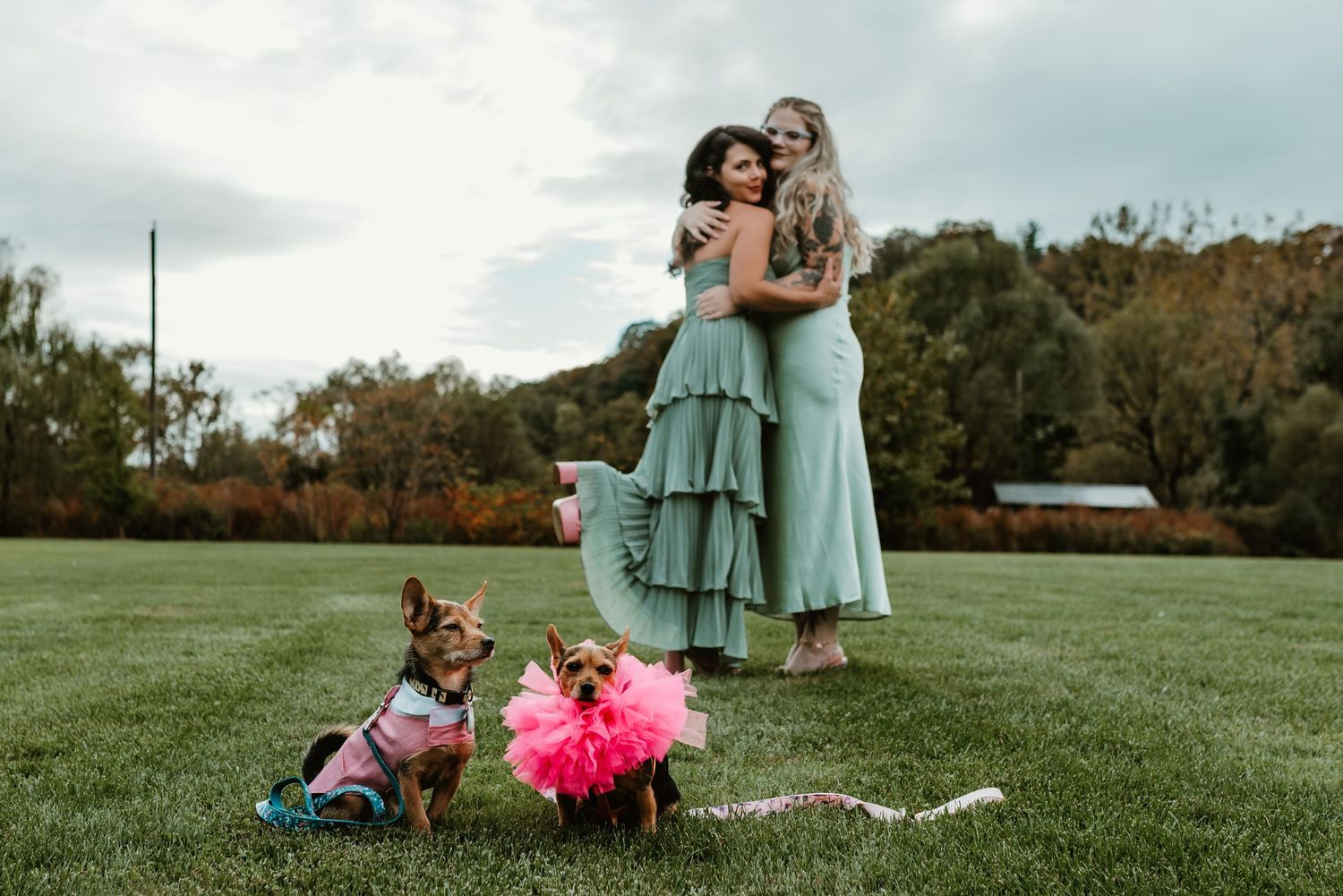 A series of outdoor wedding photos showing tender moments between couples and family in a green field setting.