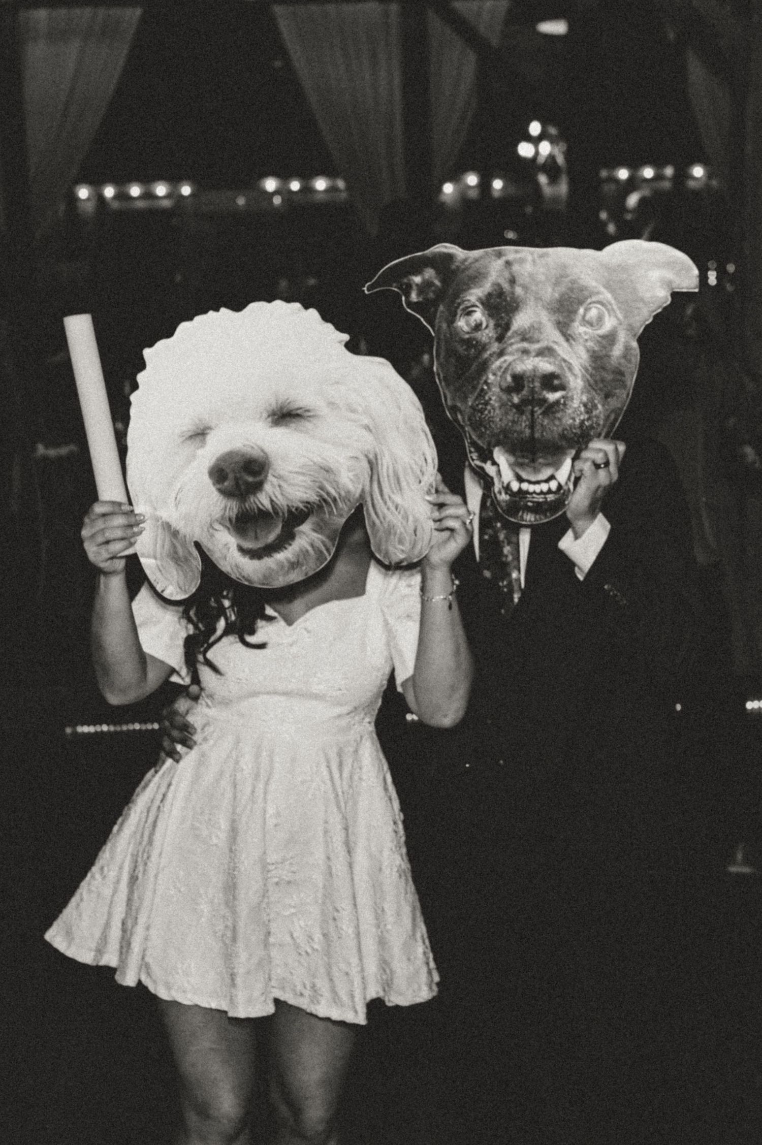A series of vintage black and white photographs showing dogs wearing dresses and smiling in a playful manner.