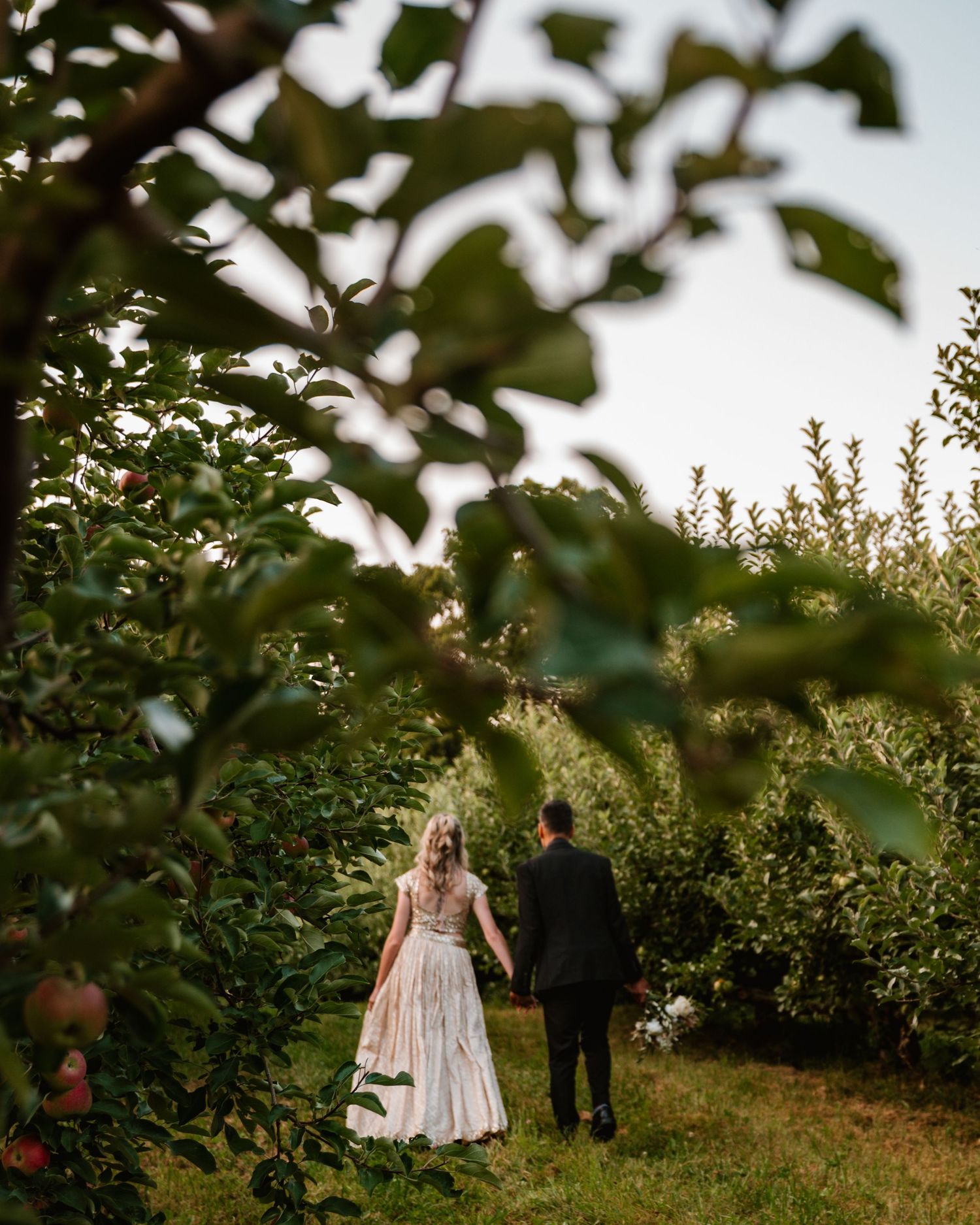 A couple walking together through a lush apple orchard on a sunny autumn day.