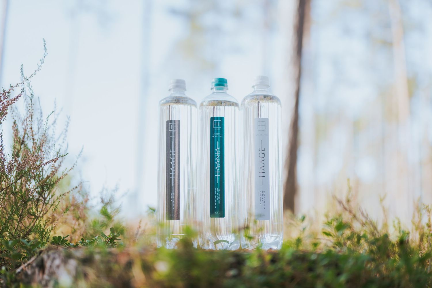 Three slim HAANJA mineral water bottles standing upright on moss in a forest setting.