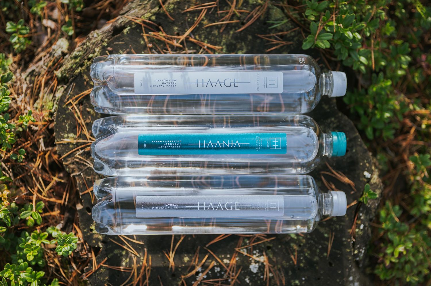 Three HAANA water bottles stacked on mossy rock, featuring clear and teal label designs in nature.