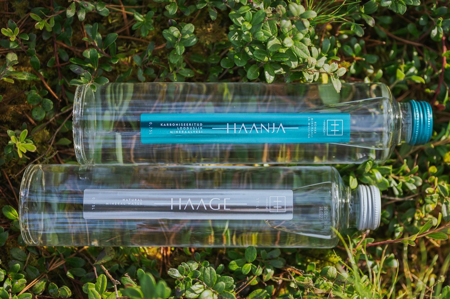 Two clear HAANJA water bottles lying on green foliage outdoors.