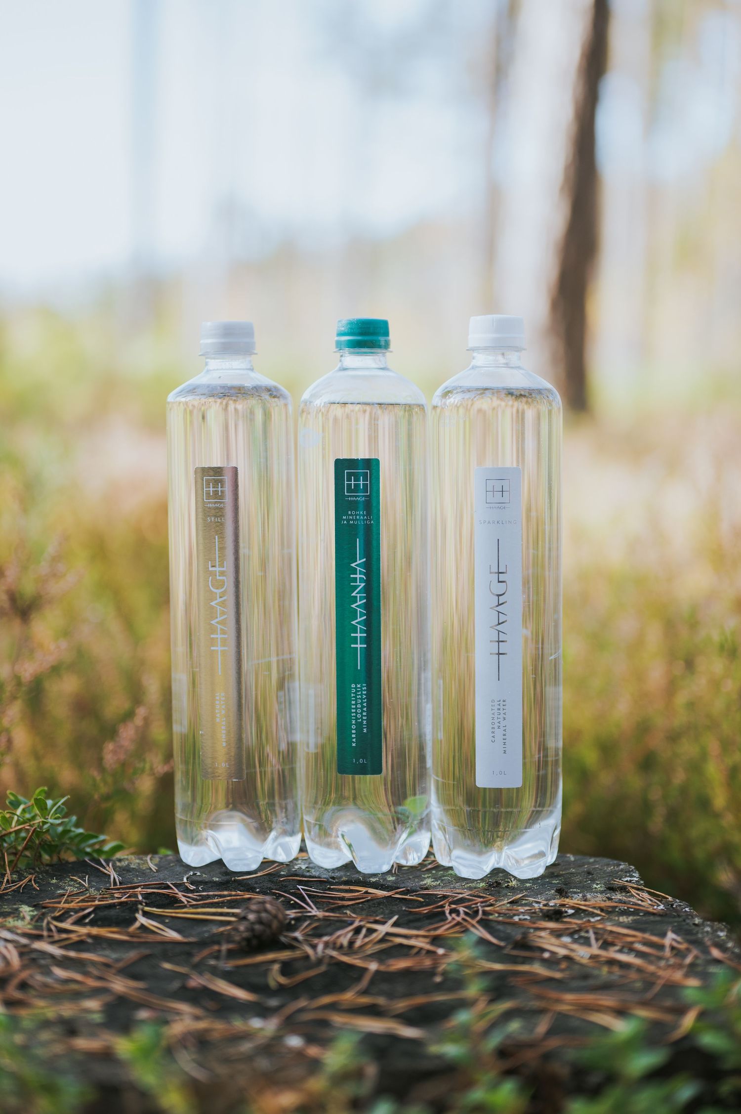 Three HAANJA water bottles with different colored labels standing on pine needles outdoors.