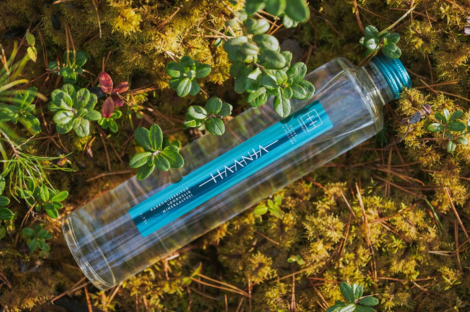 HAANA water bottle with blue label lying flat on vibrant green moss and small succulents.