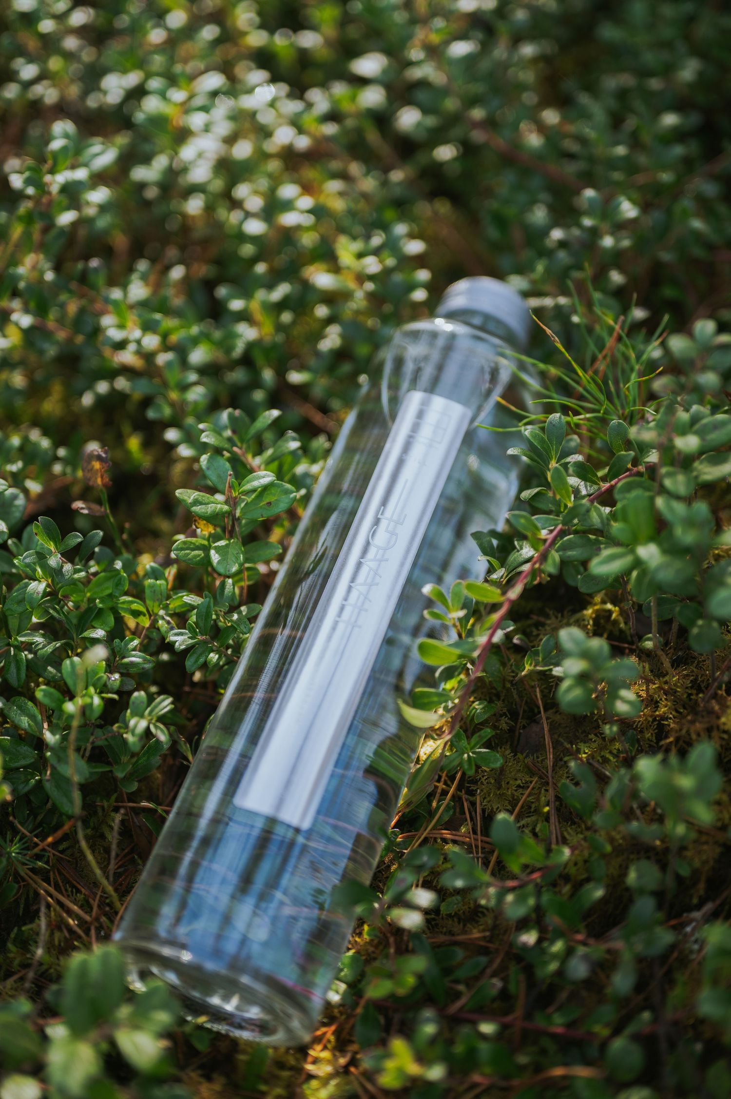 Single clear HAANJA water bottle lying among green plants and foliage.