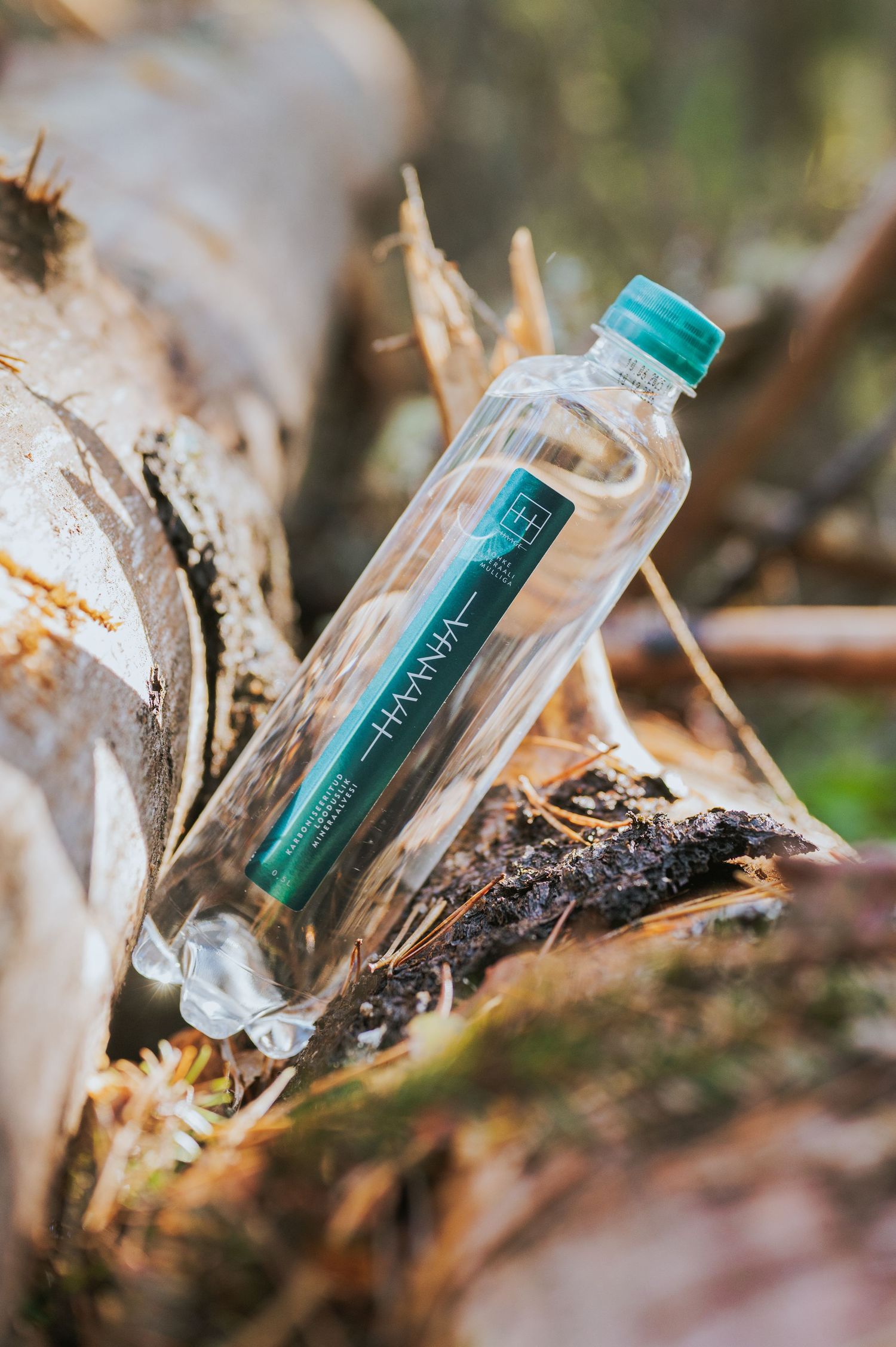 Single HAANA water bottle with teal cap leaning against birch logs in a forest environment.