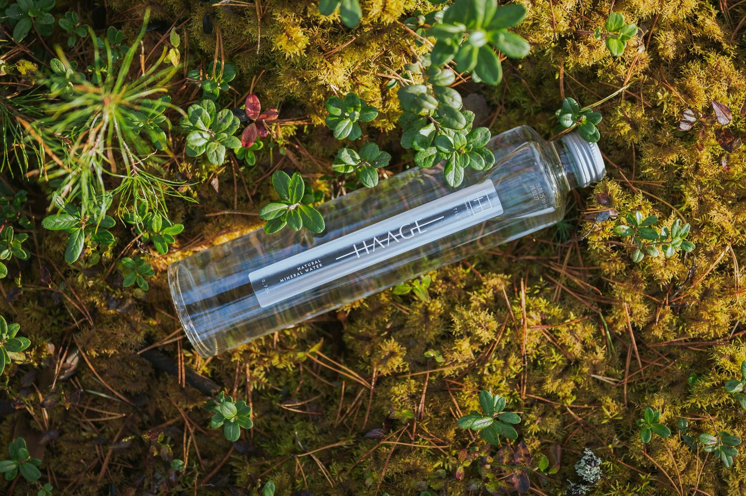 Clear HAANA water bottle resting on golden-green moss surrounded by small wild plants outdoors.
