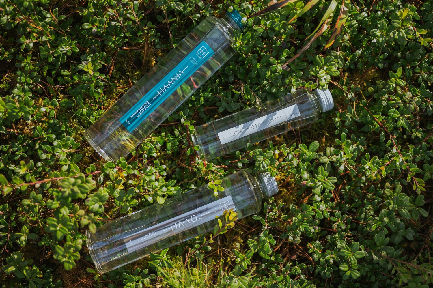 Three HAANJA water bottles with teal and clear labels resting on green moss.