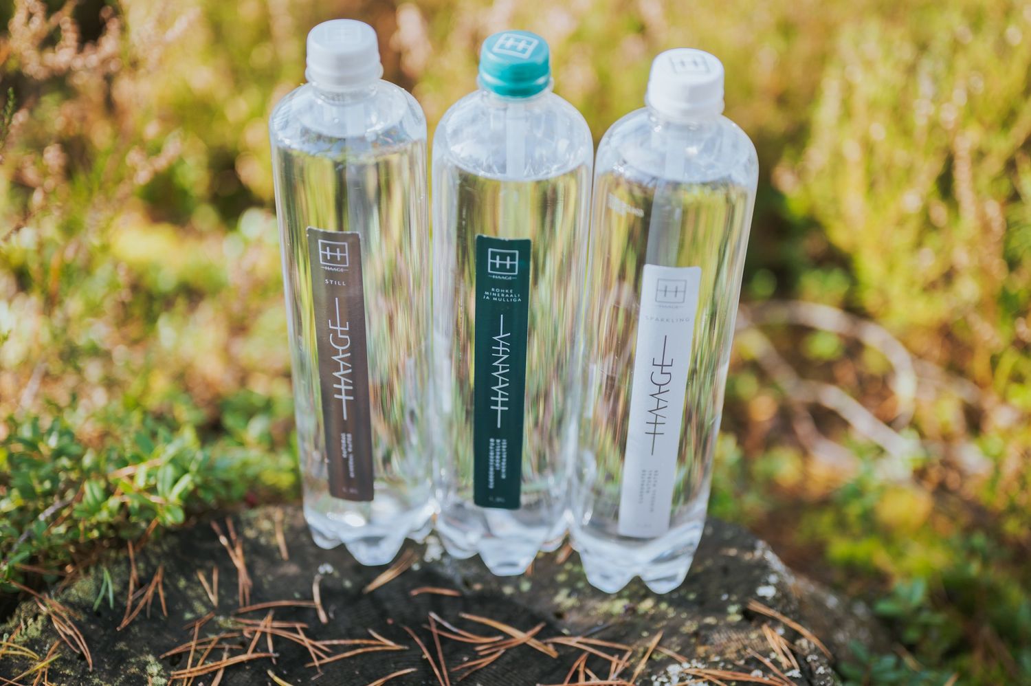 Three HAANJA water bottles with green and clear labels on natural moss surface.