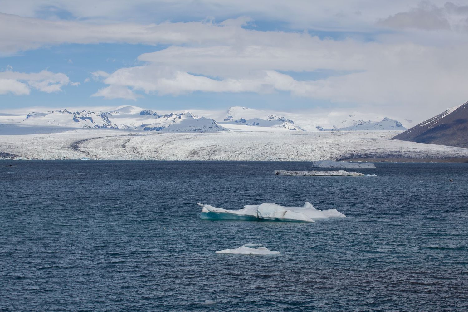 Panoramic view of icebergs floating in dark blue water with snow-capped mountains in the background.