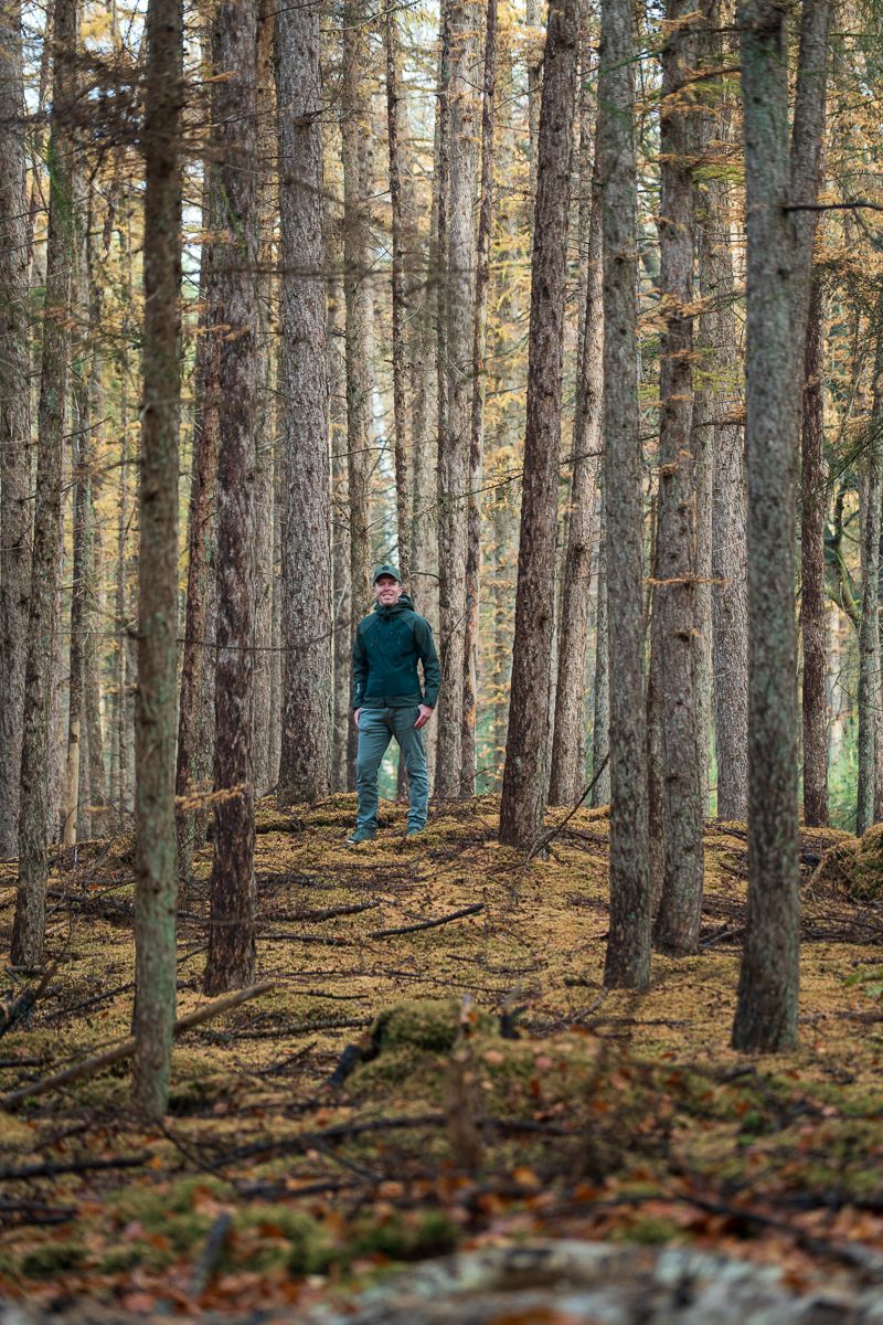 Person in teal jacket walking through dense pine forest with fallen leaves on ground.