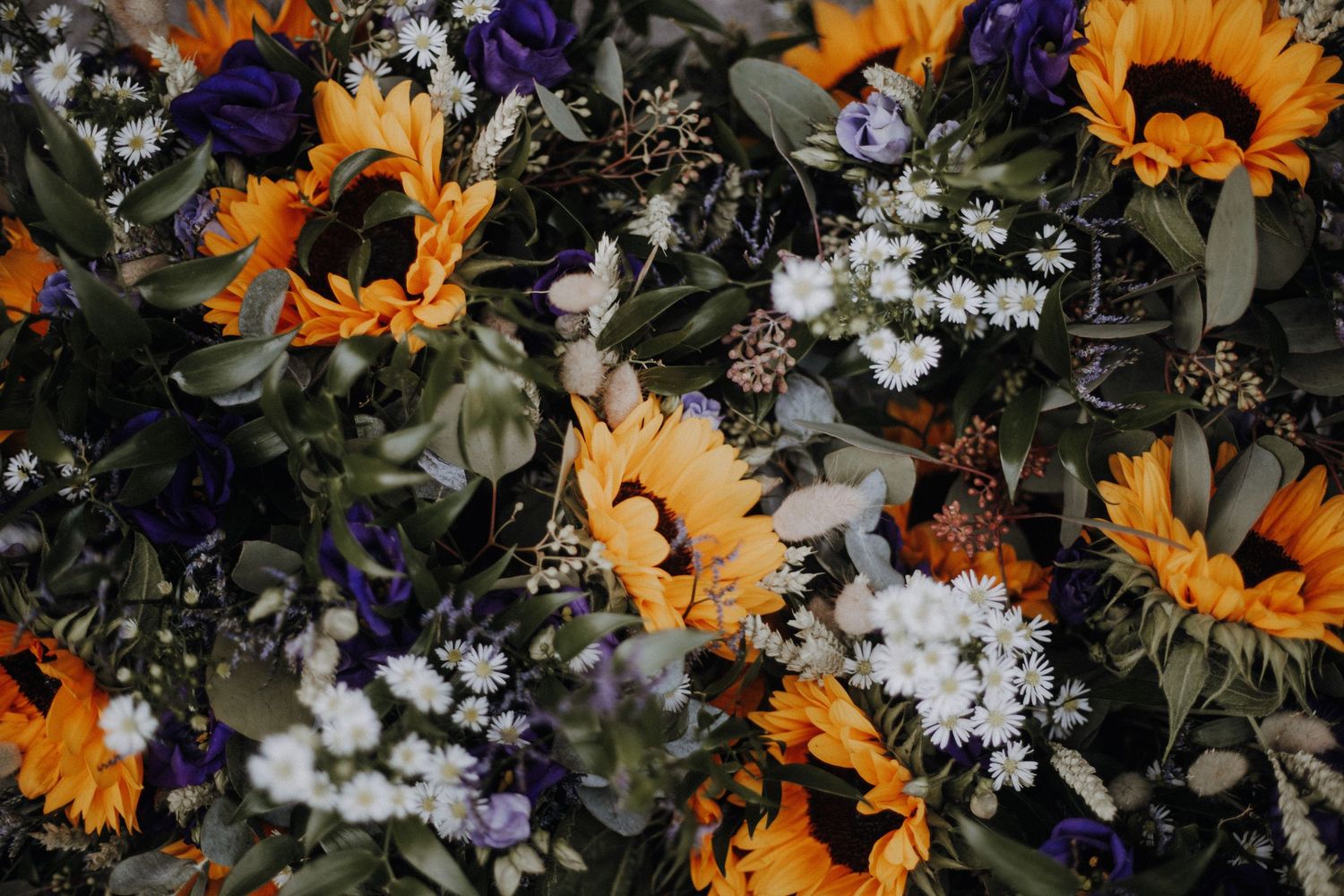 cornwall wedding photographer