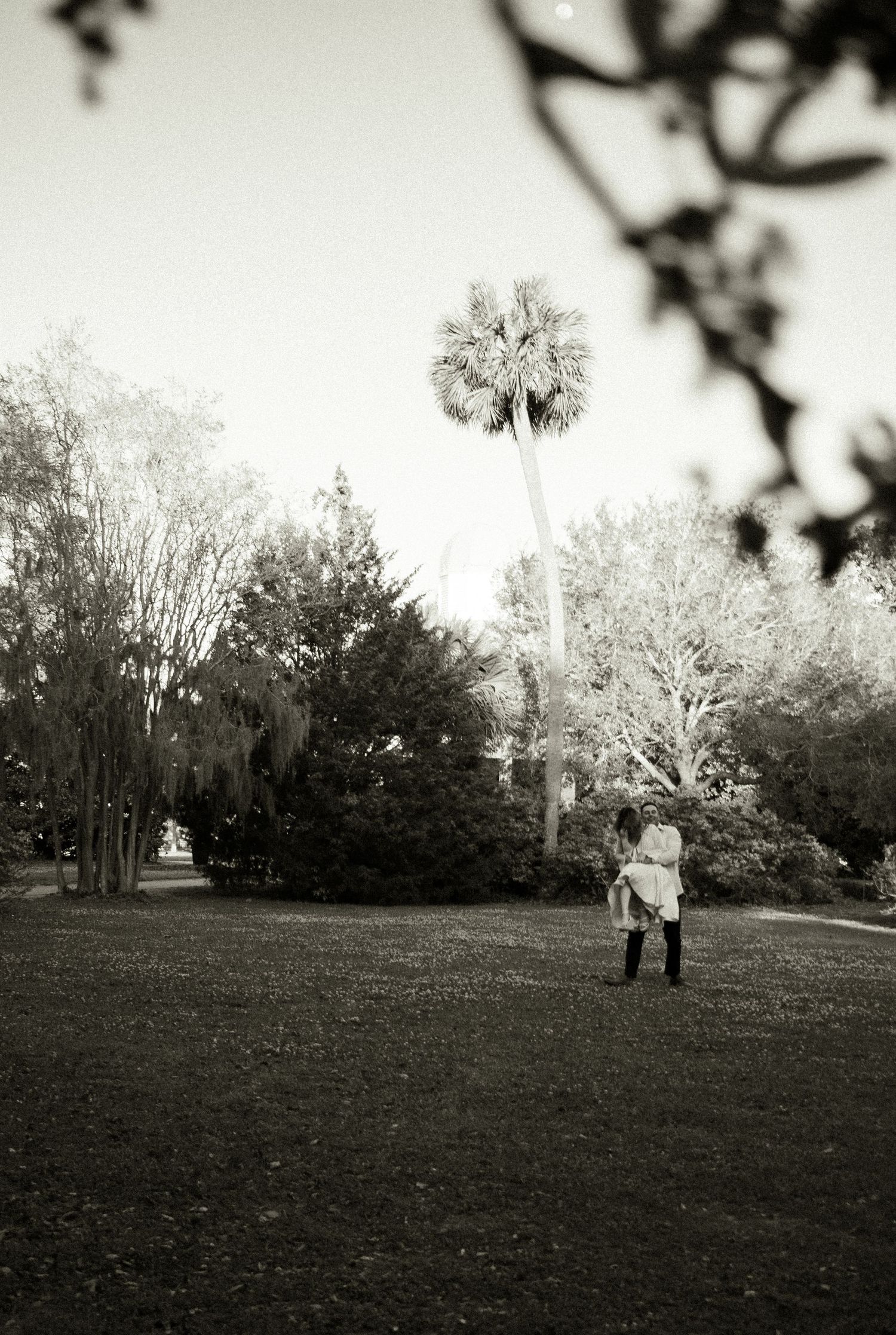Black and white photo of a couple embracing in a lush park with tall palm tree and Spanish moss-draped trees.