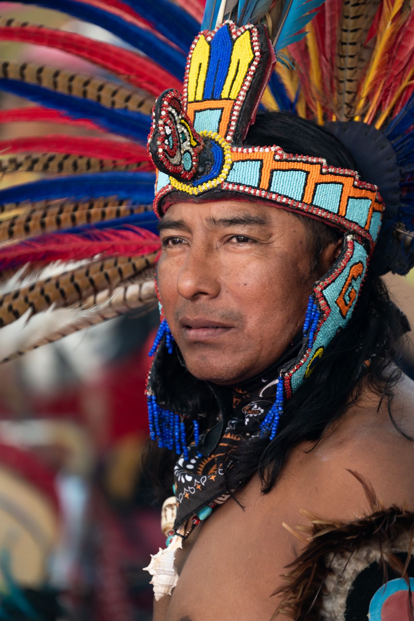 Person wearing ornate Native American headdress with blue and yellow feathers and beadwork.