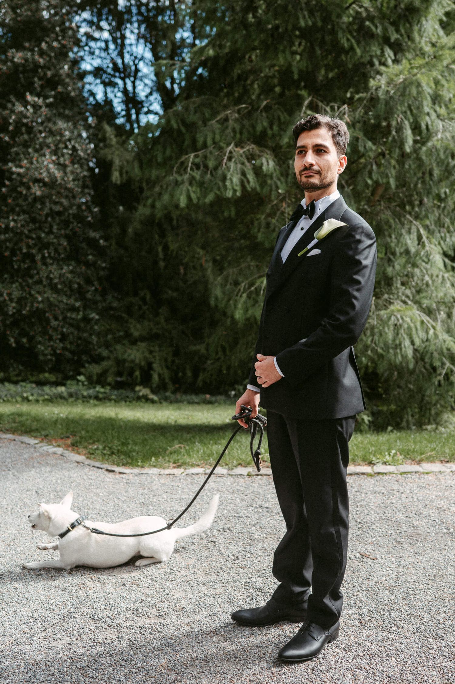 Hochzeitsfotografie Zürich Portrait Bräutigam und Hund