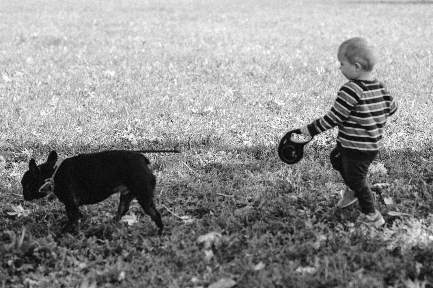Familienfotografie Zürich Kind mit Hund