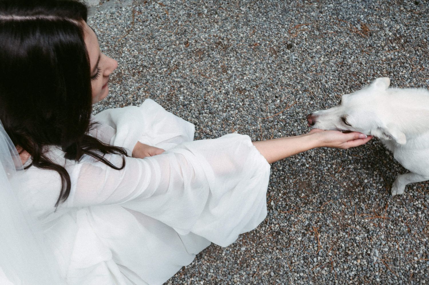 Hochzeitsfotografie Zürich Portrait Braut und Hund