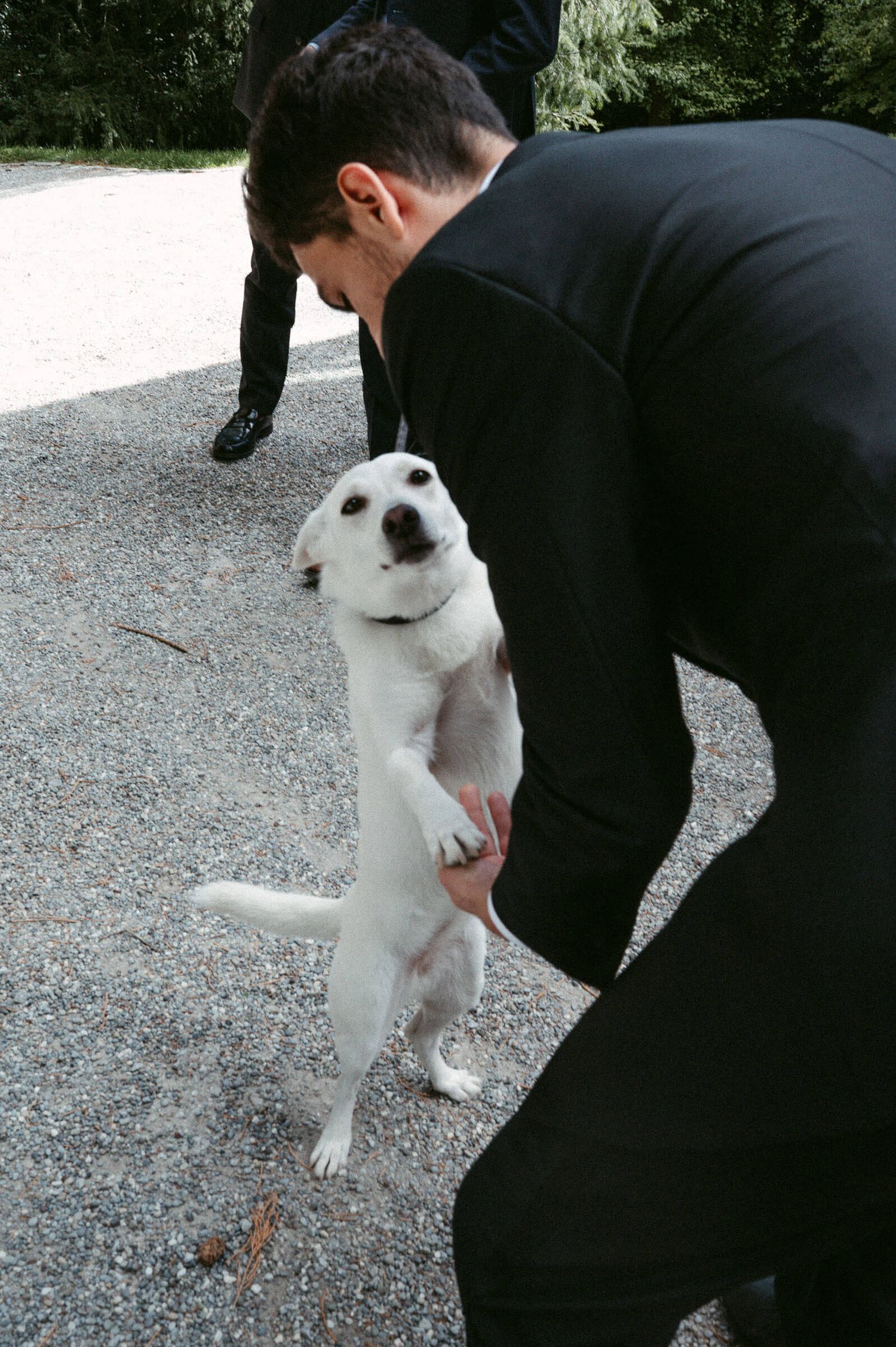Hochzeitsfotografie Zürich Portrait Bräutigam und Hund