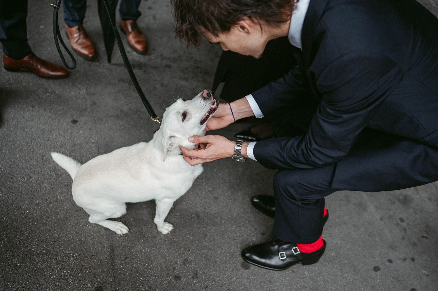 Hochzeitsfotografie Zürich Hund und Gast Standesamt Zürich