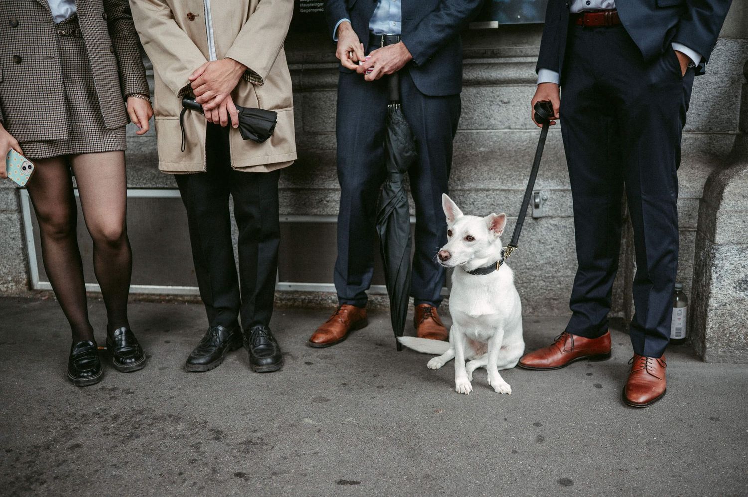 Hochzeitsfotografie Zürich Hund und Gast Standesamt Zürich