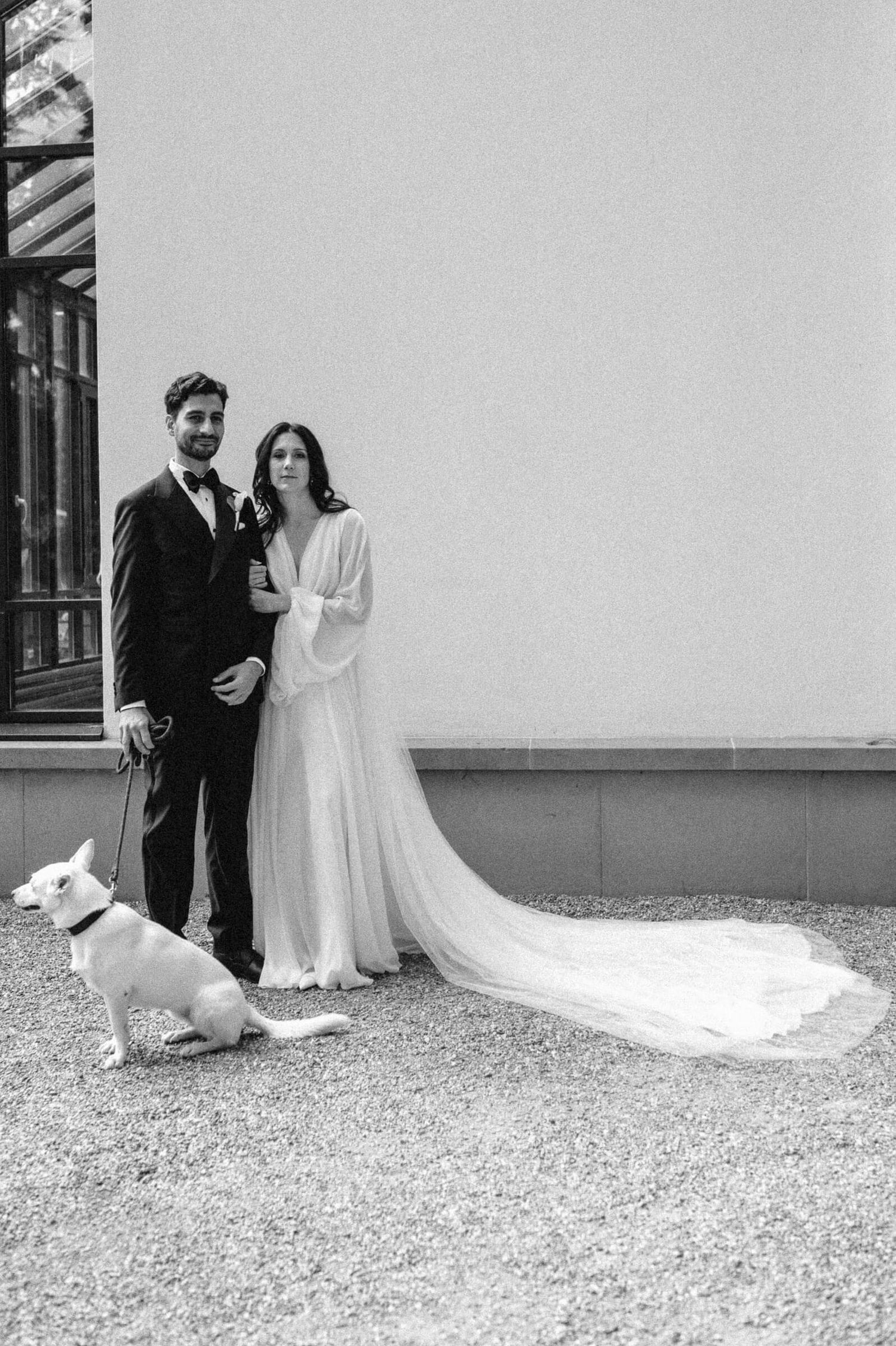 Hochzeitsfotografie Zürich Portrait Bräutigam und Braut mit Hund