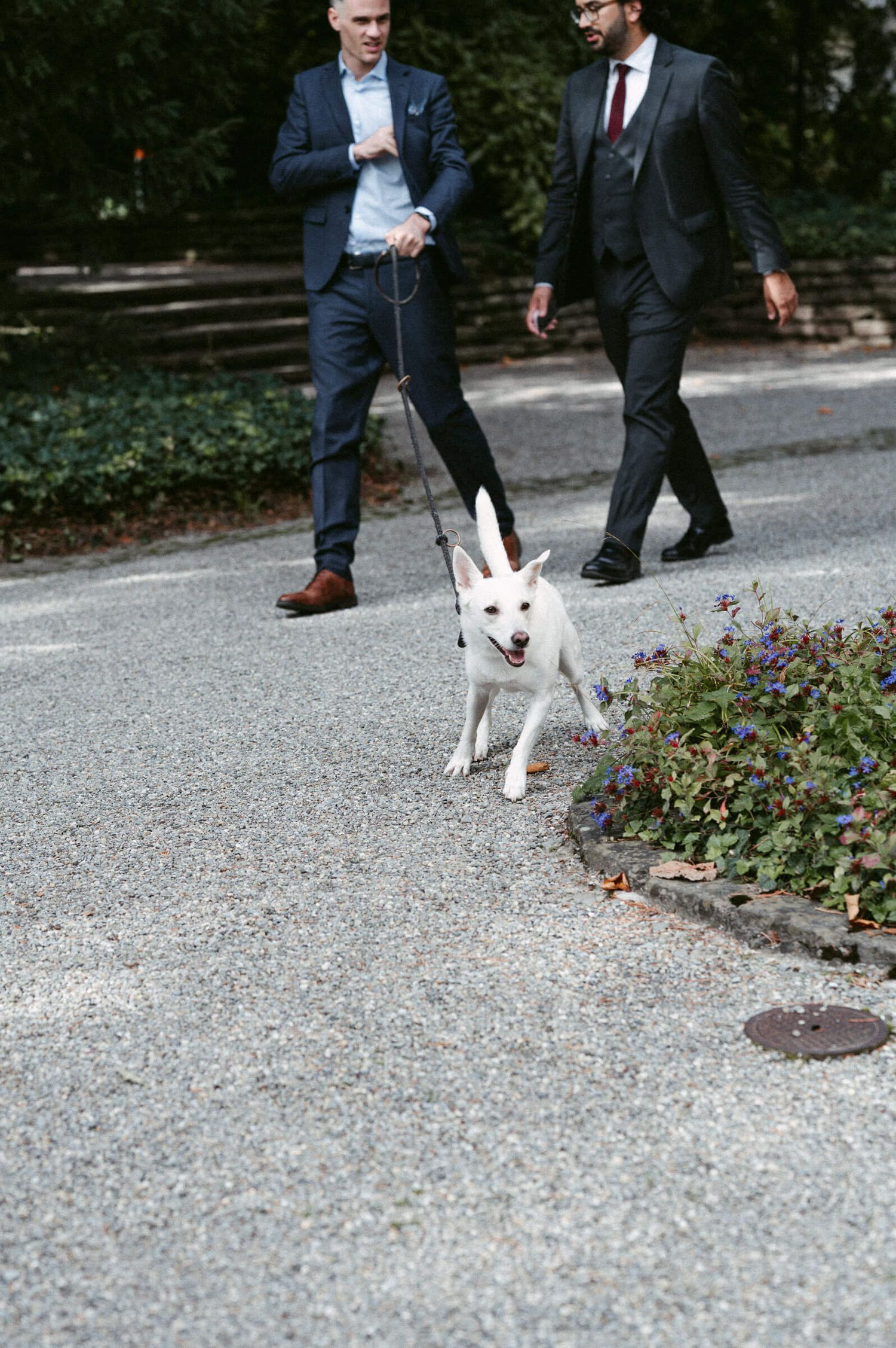 Hochzeitsfotografie Zürich Trauzeugen und Hund