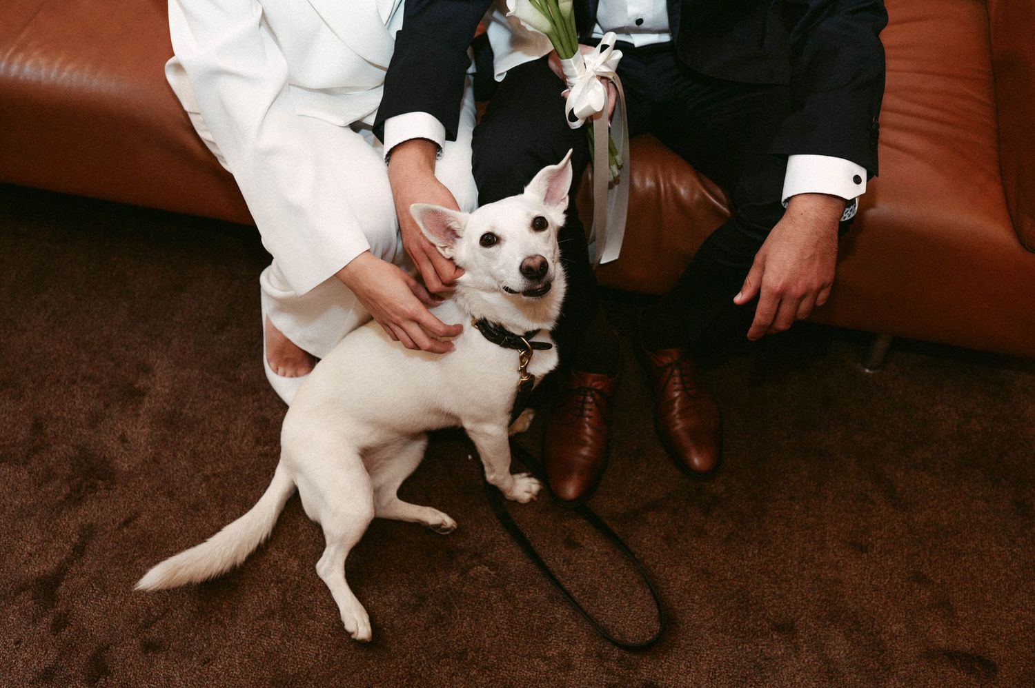 Hochzeitsfotografie Zürich Paar mit Hund