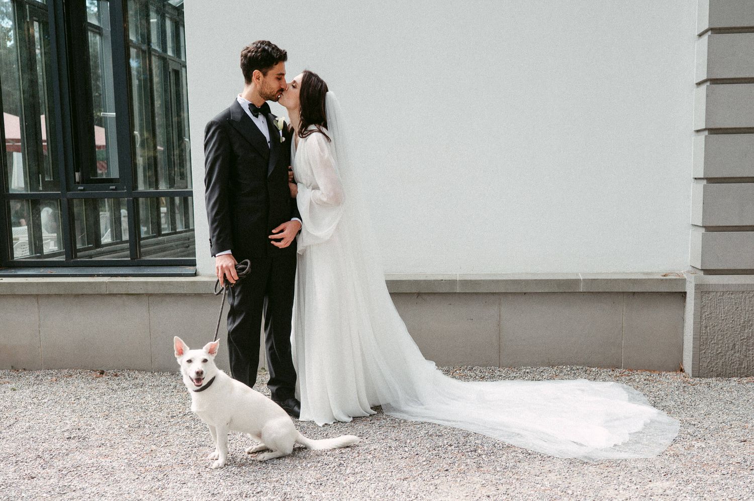 Hochzeitsfotografie Zürich Portrait Bräutigam und Braut mit Hund Kuss