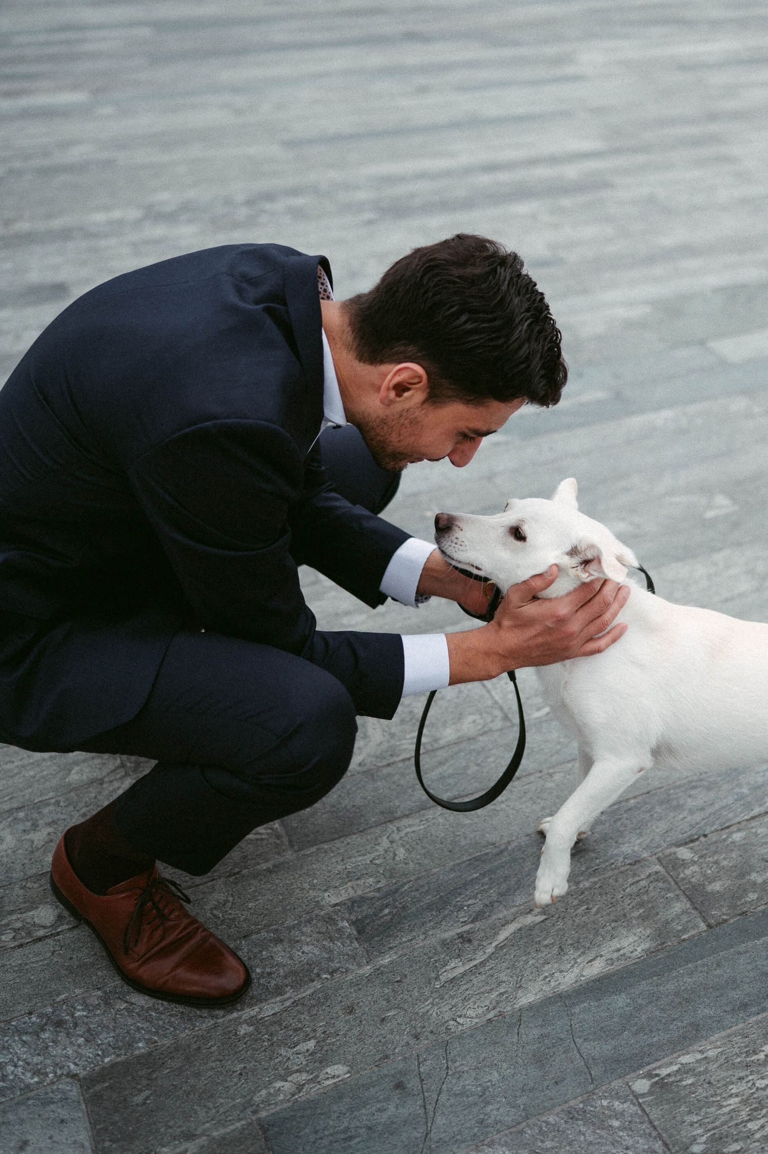 Hochzeitsfotografie Zürich Hund Portrait Bräutigam mit Hund