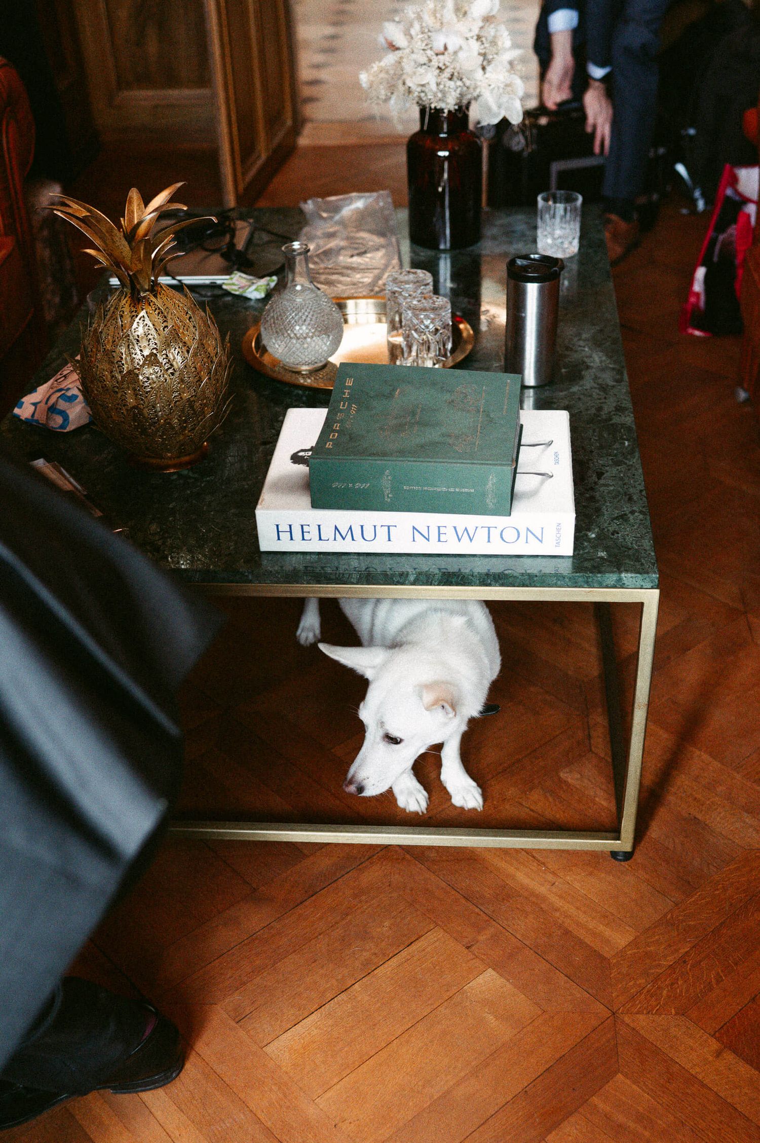 Hochzeitsfotografie Zürich Getting Ready Bräutigam mit Hund