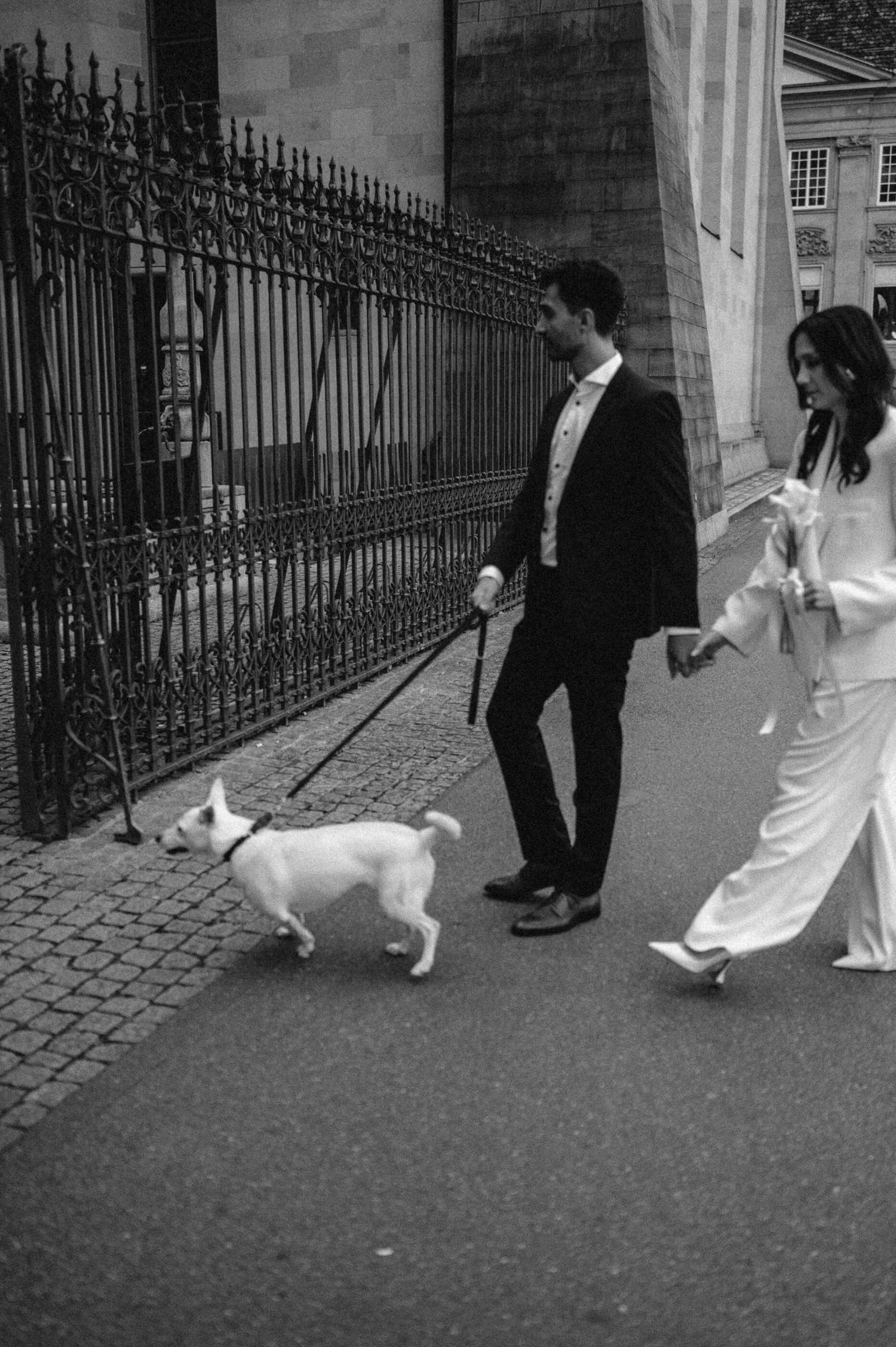 Hochzeitsfotografie Zürich Hund Portrait Braut und Bräutigam mit Hund Standesamt Zürich