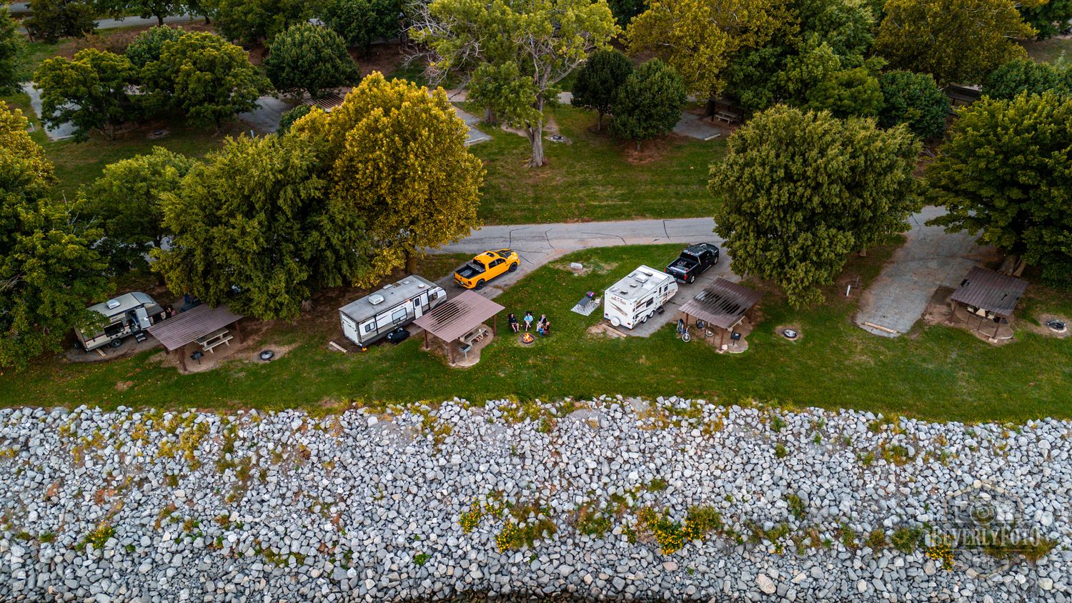 Aerial view of a flower field with light blue blooms surrounded by green trees and buildings in a rural setting.