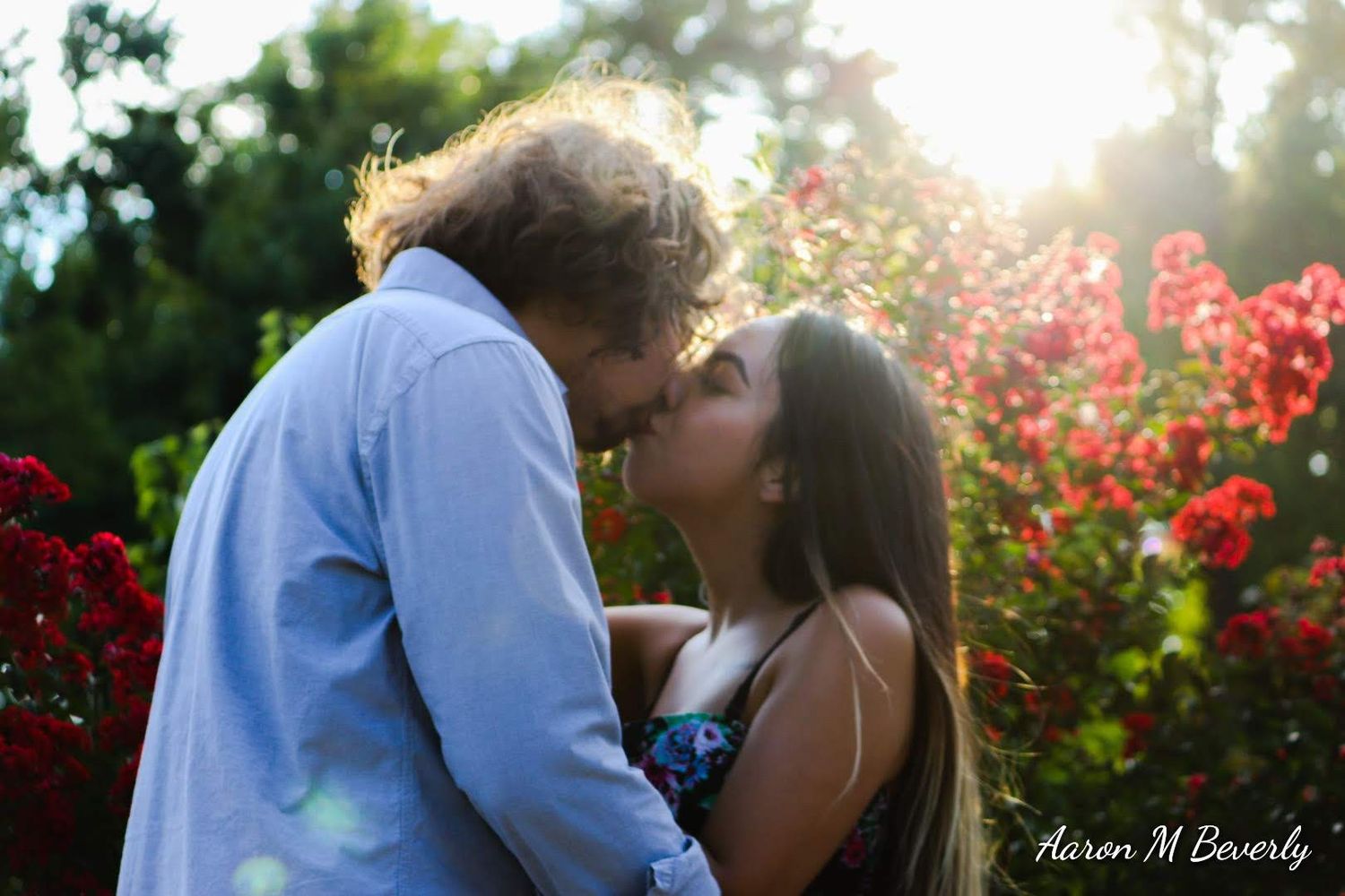 A couple shares a romantic kiss in a garden setting with vibrant red flowers and sunlight in the background.