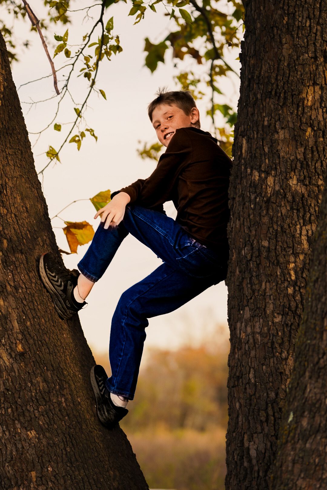 Person in blue jeans sits playfully in a tree during golden hour sunset.