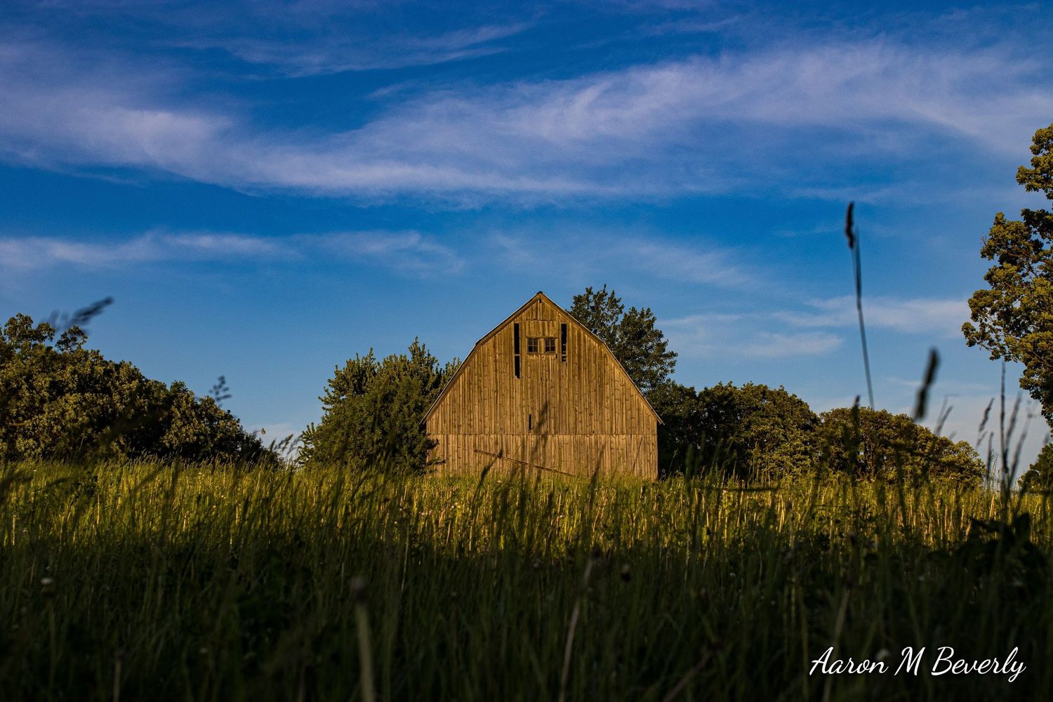 Old wooden barn stands in tall grass against blue summer sky.
