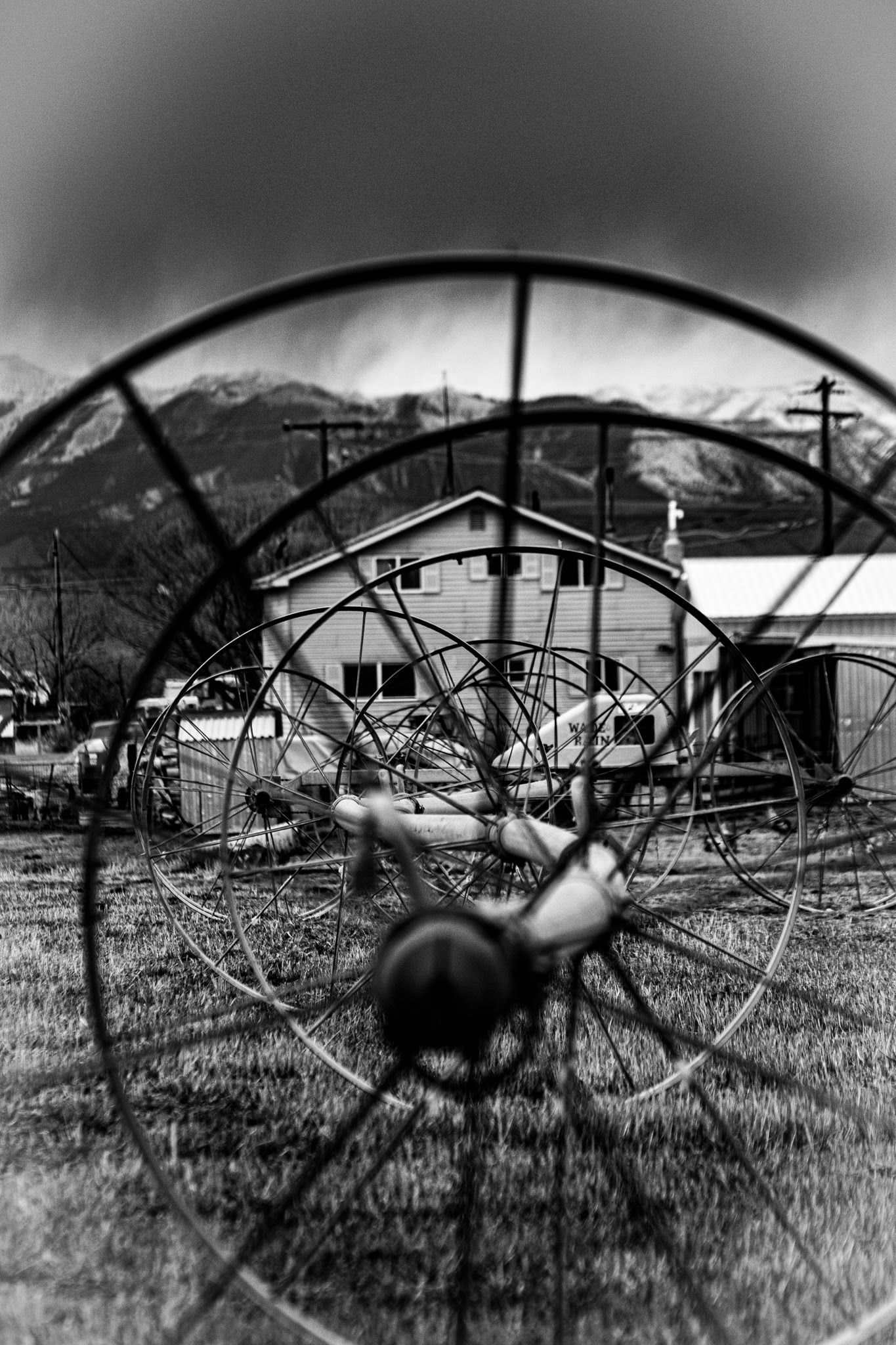 A sequence of black and white photos showing an old abandoned metal wheel irrigation system in a grassy field.