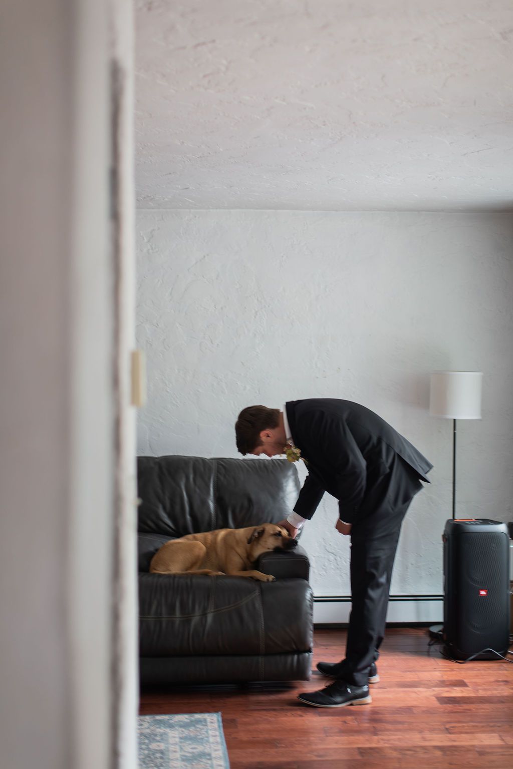 groom petting dog in the living room