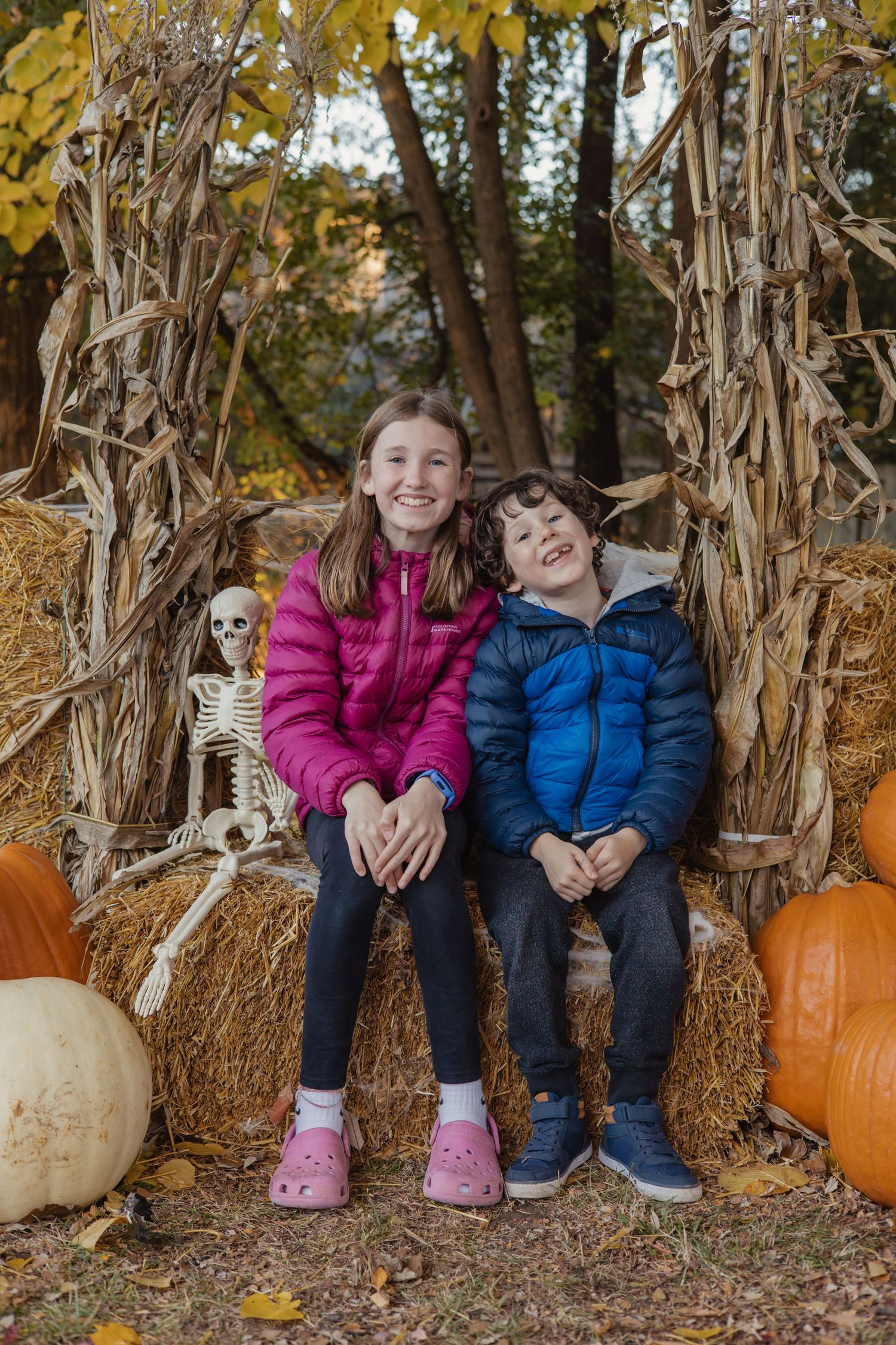 Fall Mini's - Clare Park Ottawa