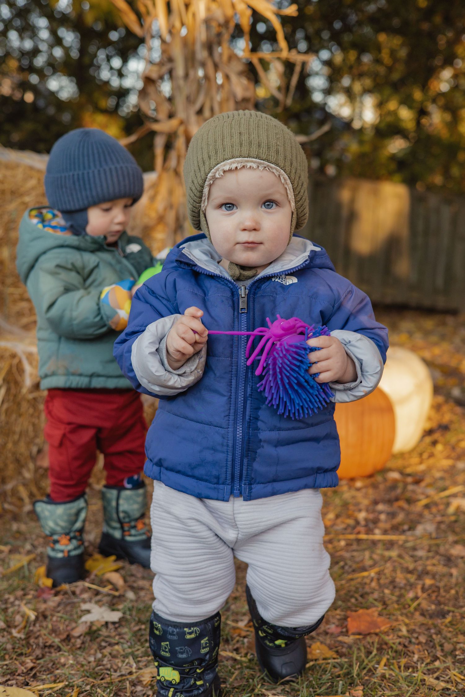 Fall Mini's - Clare Park Ottawa