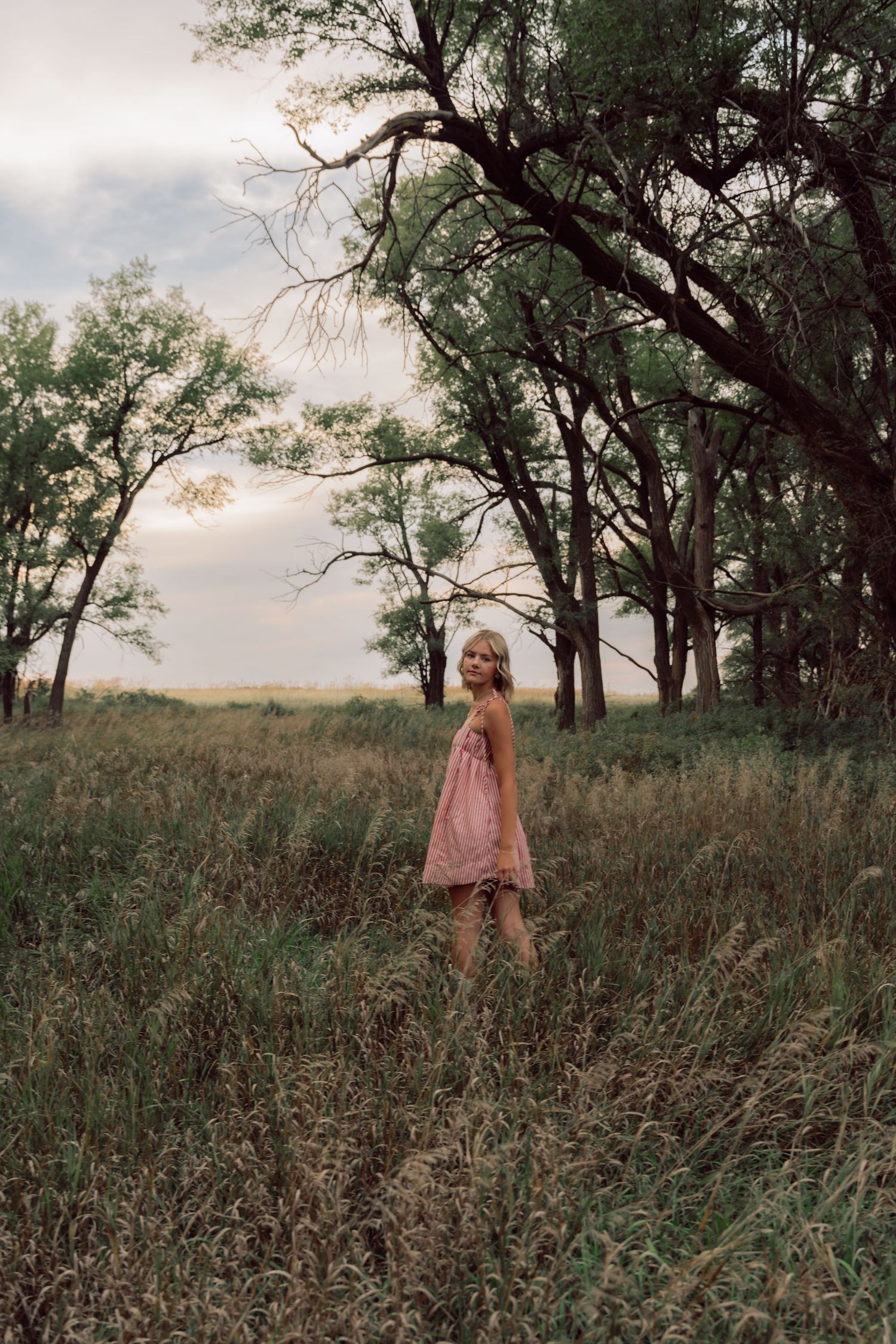 A dreamy sunset photo shoot in tall grass with trees silhouetted against the evening sky.
