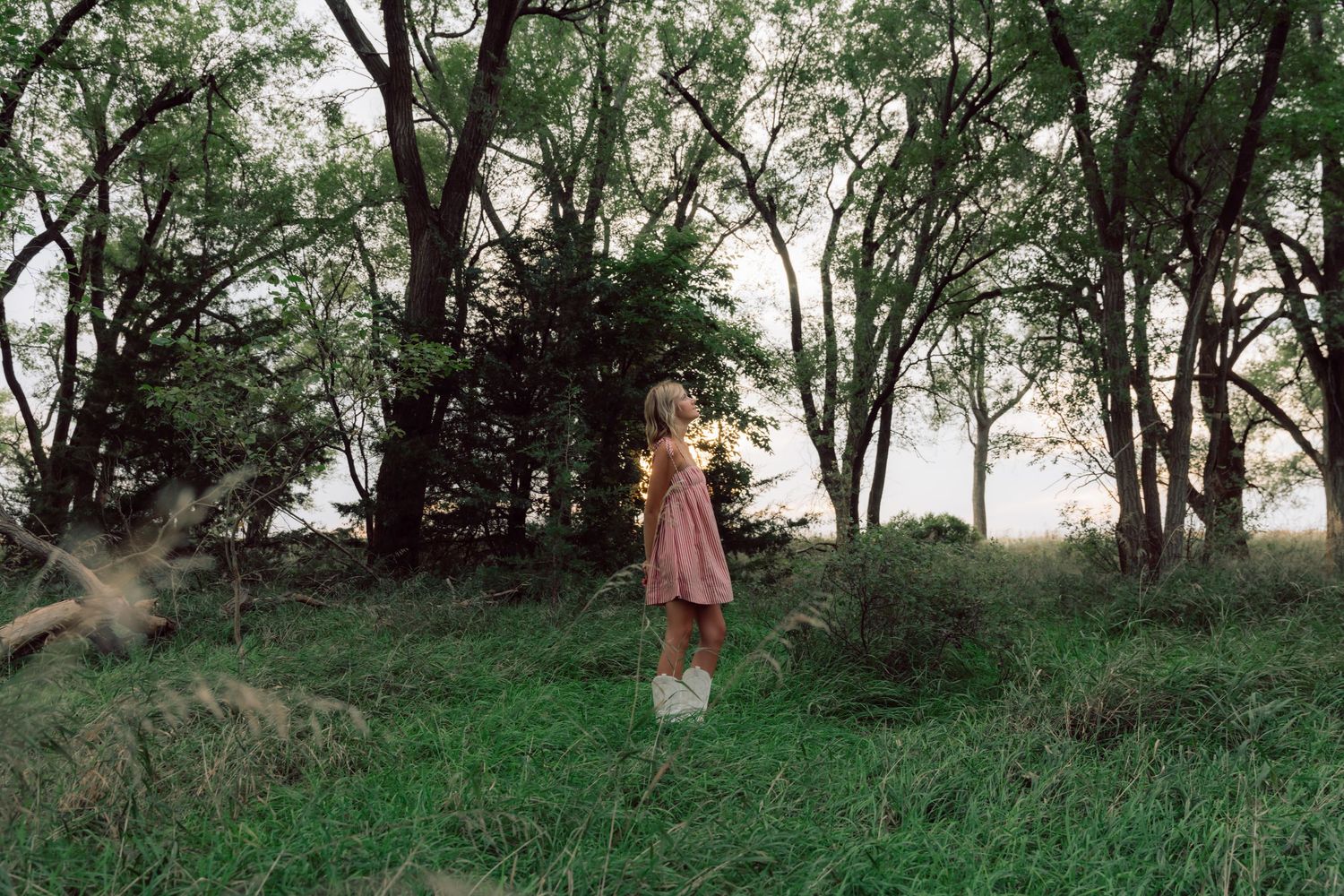 Person in pink dress standing among trees in natural setting at sunset.