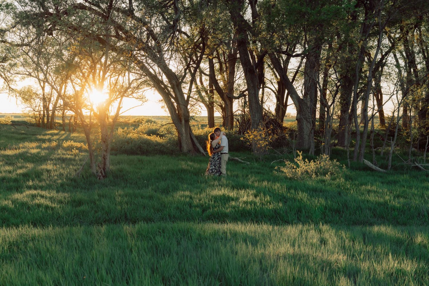 A couple stands among trees in a grassy field backlit by golden sunset rays.