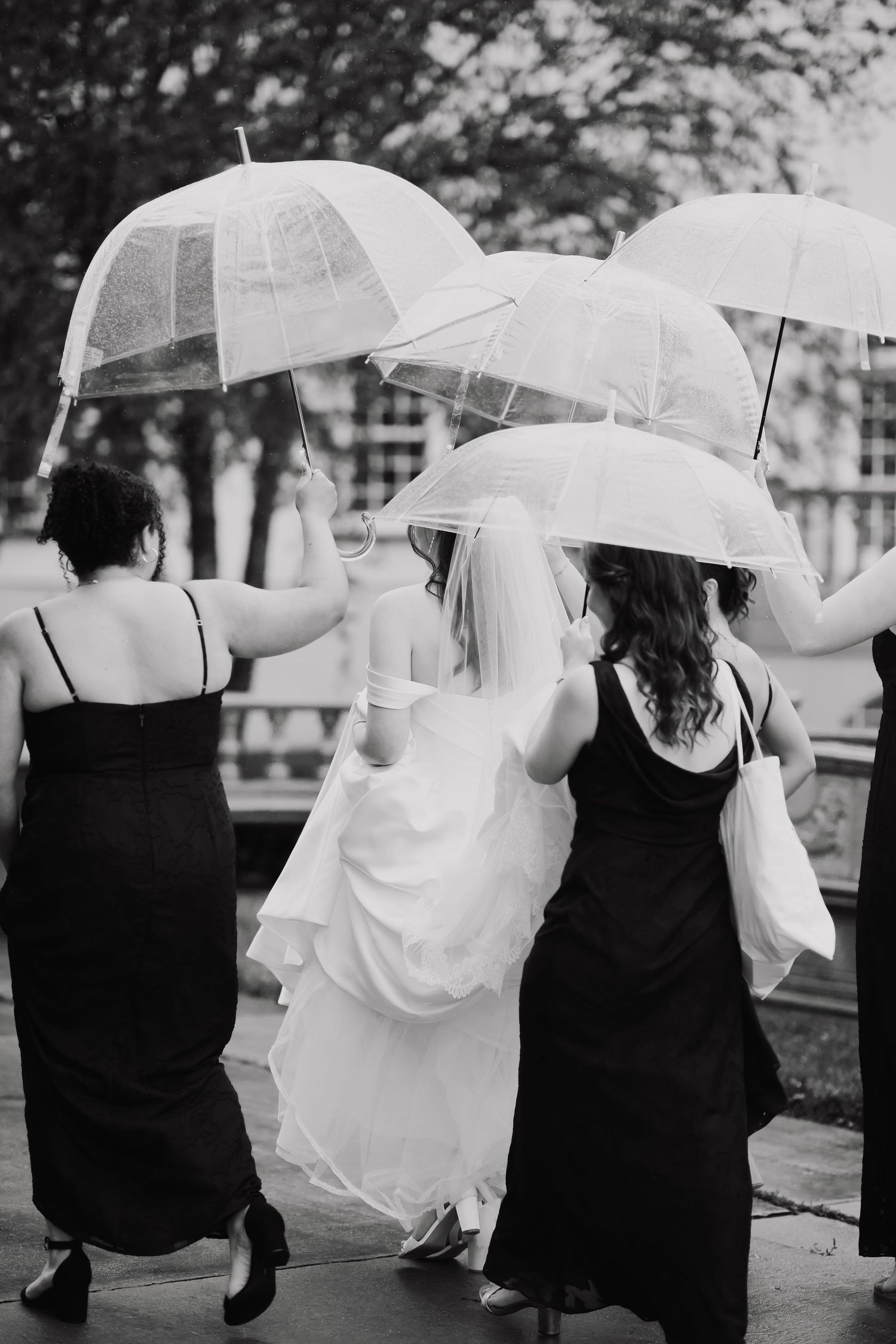 Bride in white gown and bridesmaids in black dresses walking with clear umbrellas in black and white photo.